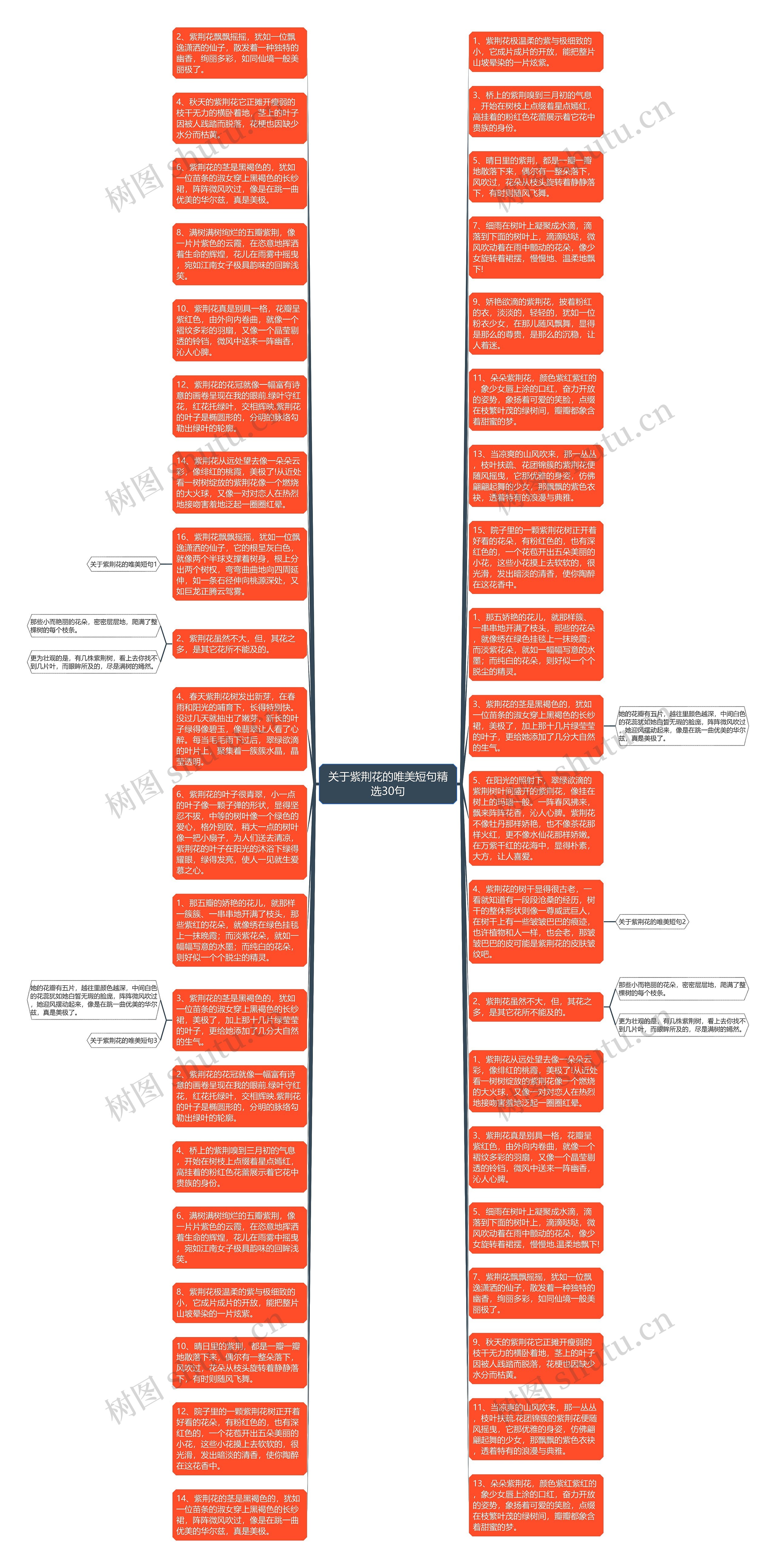关于紫荆花的唯美短句精选30句思维导图