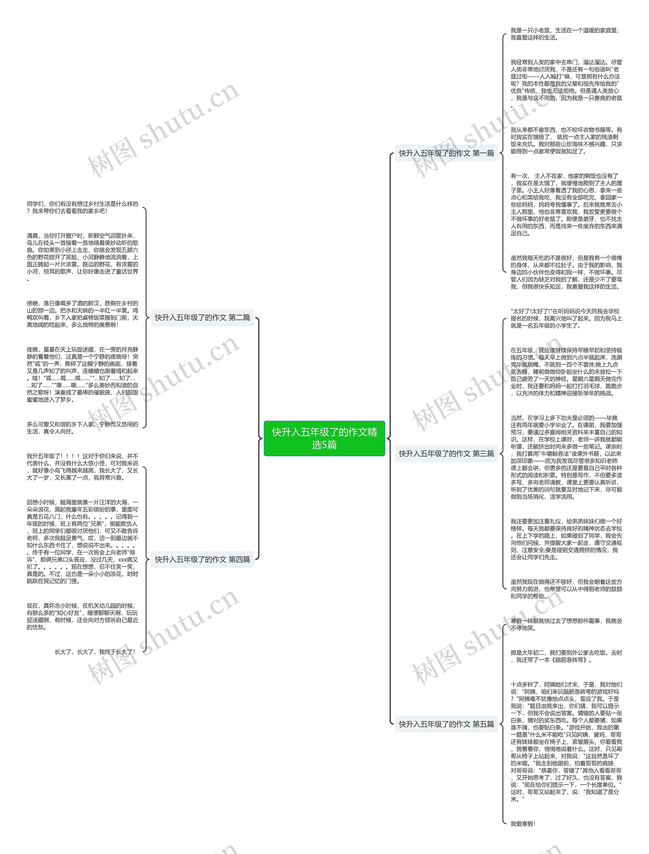 快升入五年级了的作文精选5篇思维导图