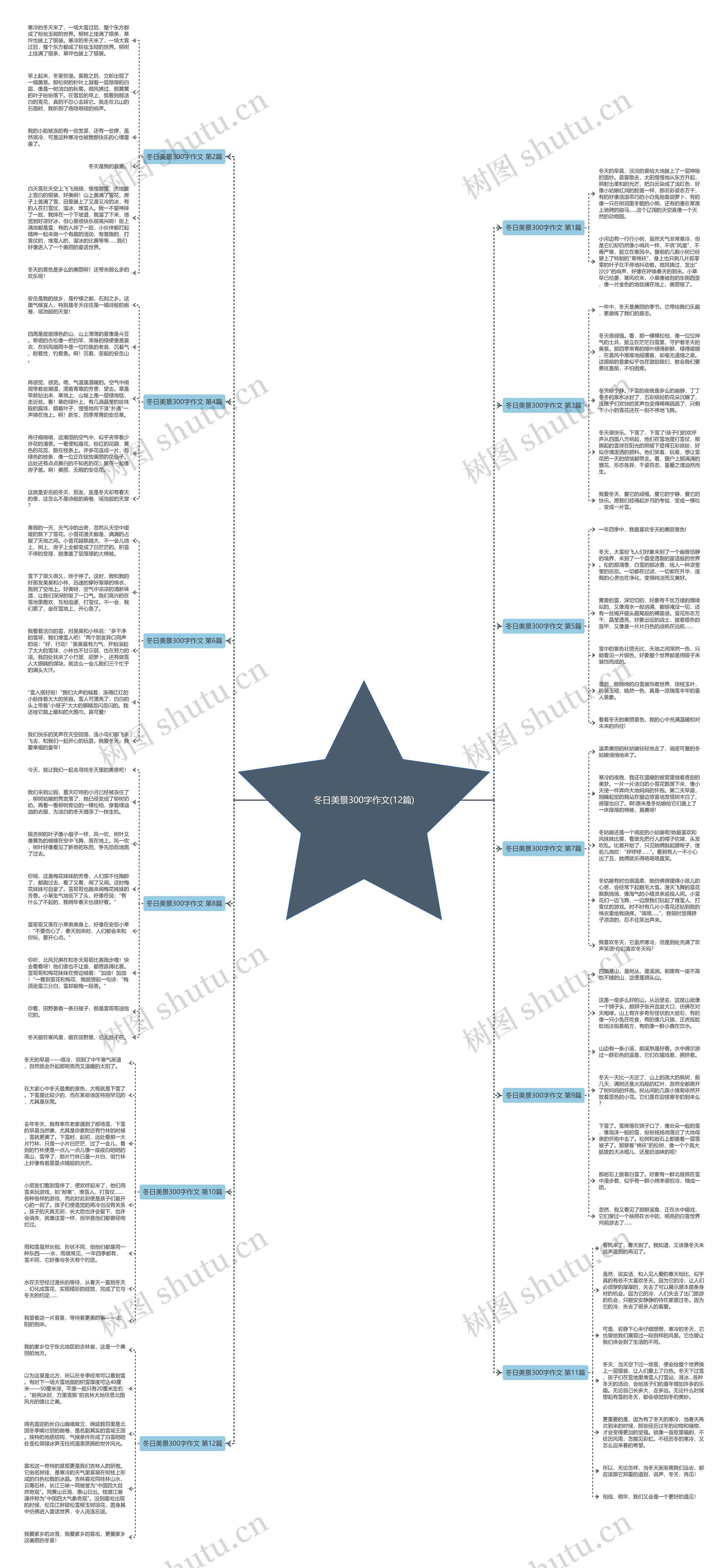 冬日美景300字作文(12篇)思维导图