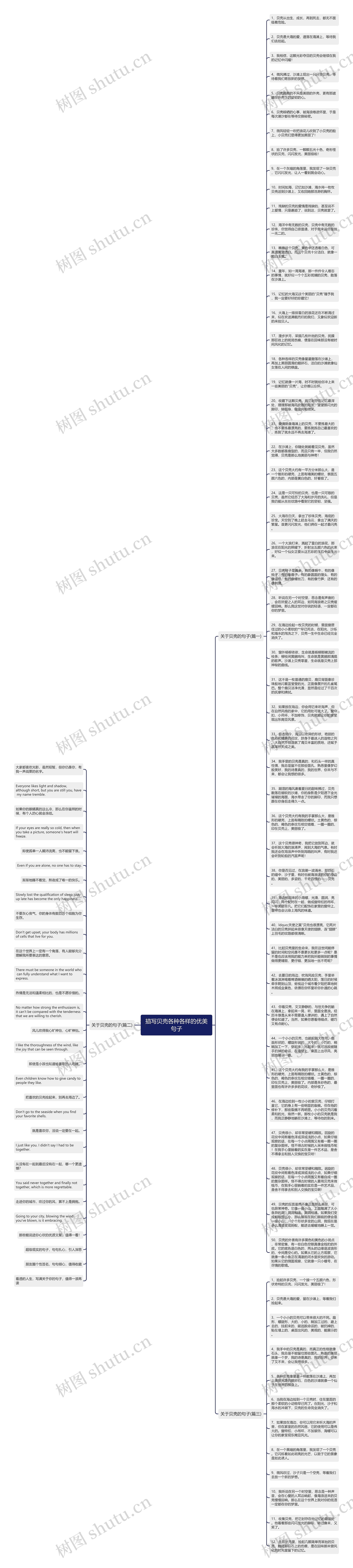 描写贝壳各种各样的优美句子思维导图