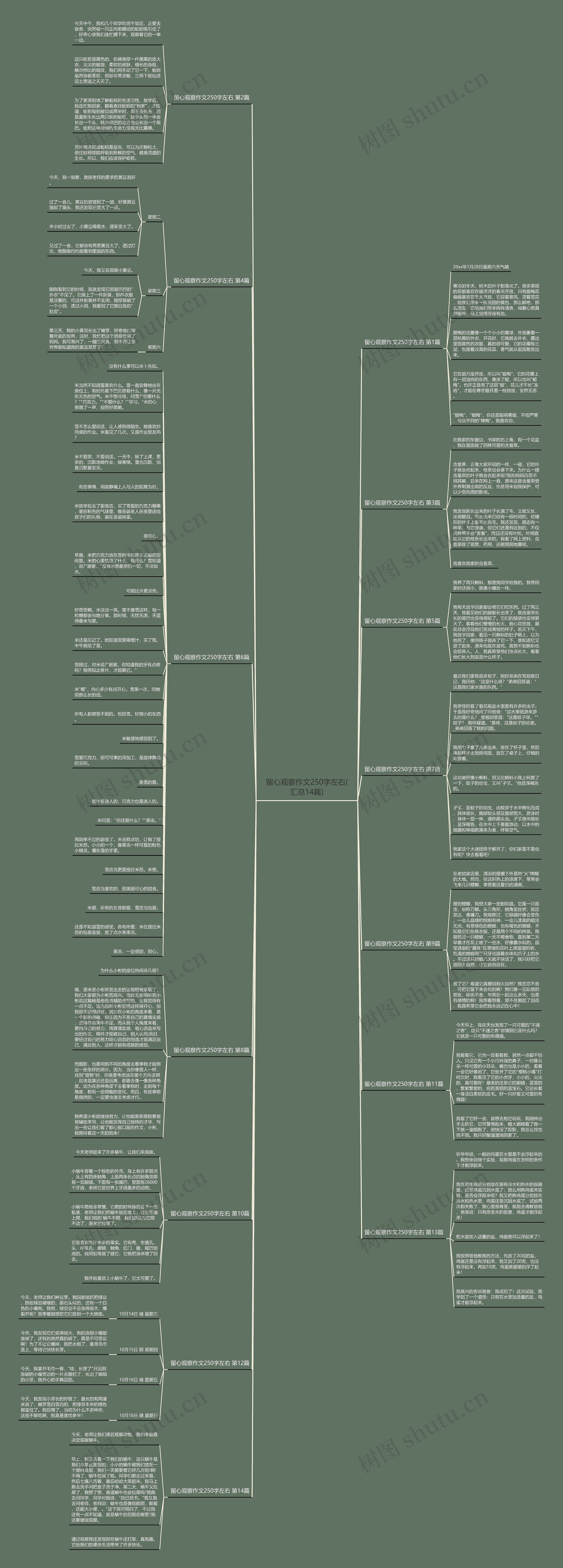 留心观察作文250字左右(汇总14篇) 留心观察作文250字左右(汇总14篇)