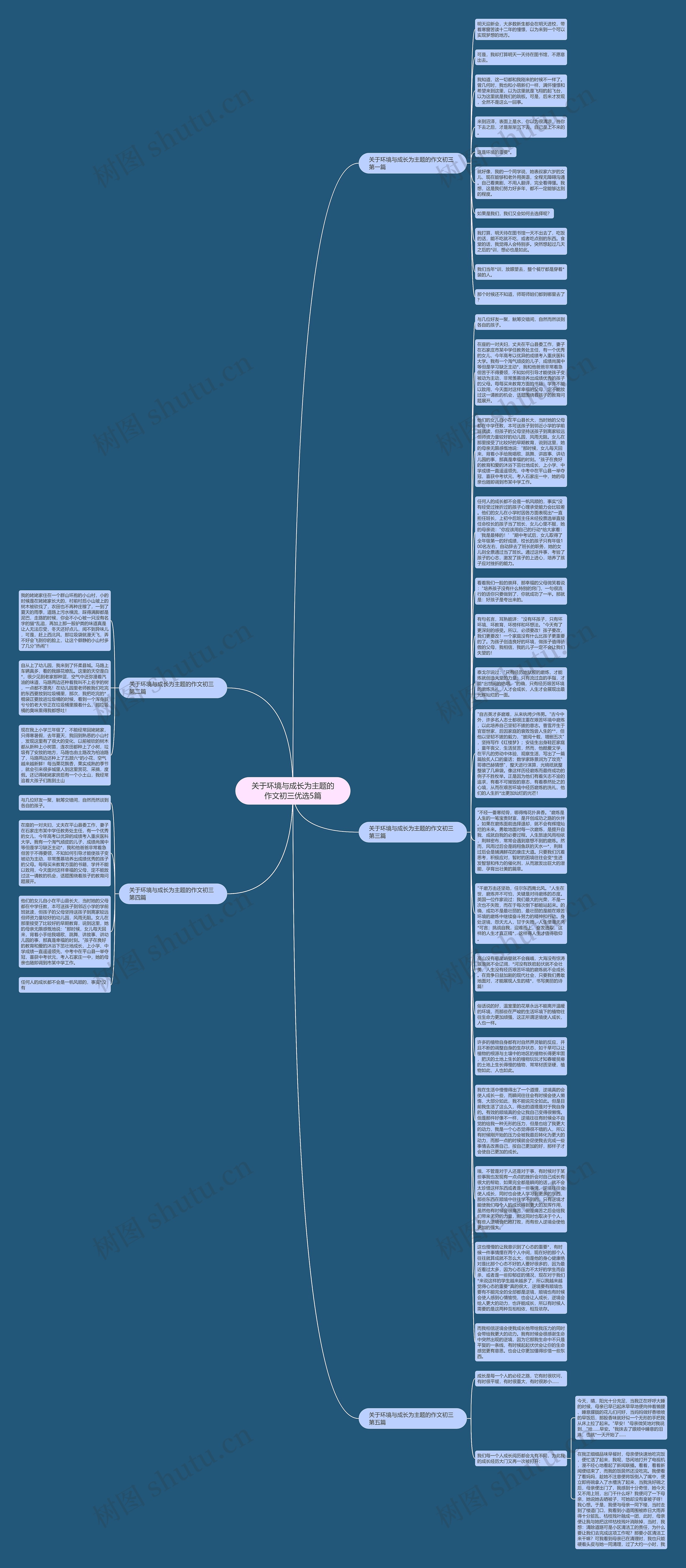 关于环境与成长为主题的作文初三优选5篇思维导图