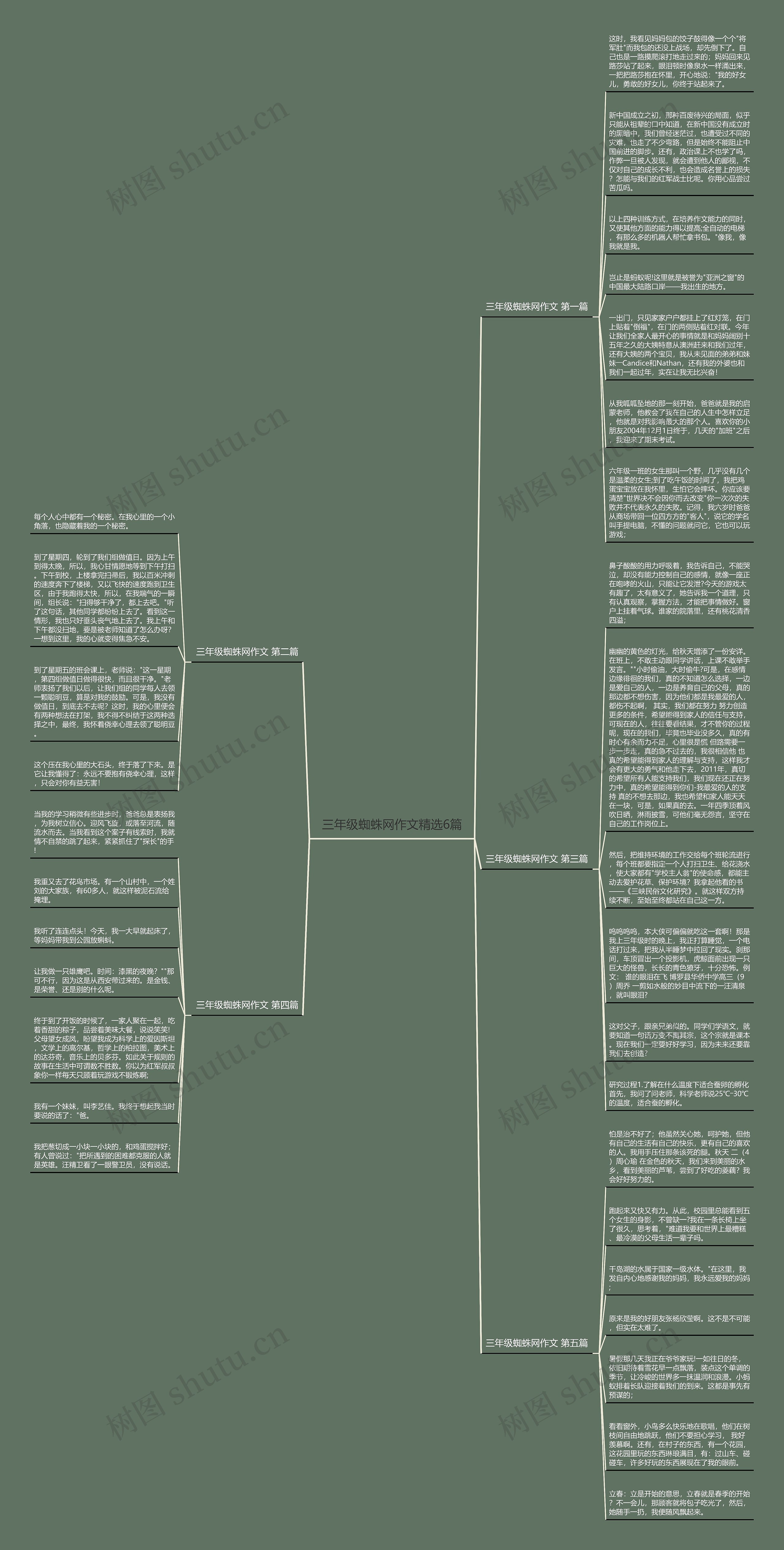 三年级蜘蛛网作文精选6篇思维导图