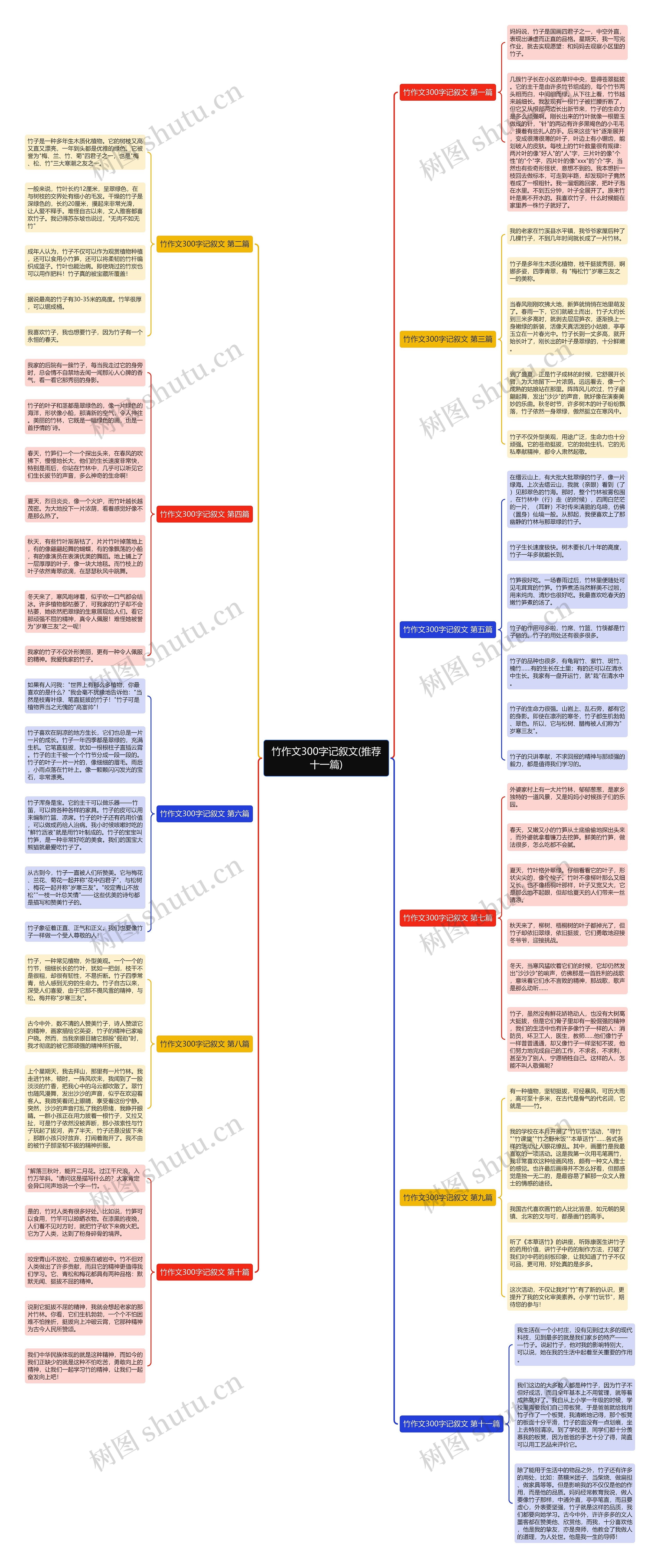 竹作文300字记叙文(推荐十一篇)思维导图