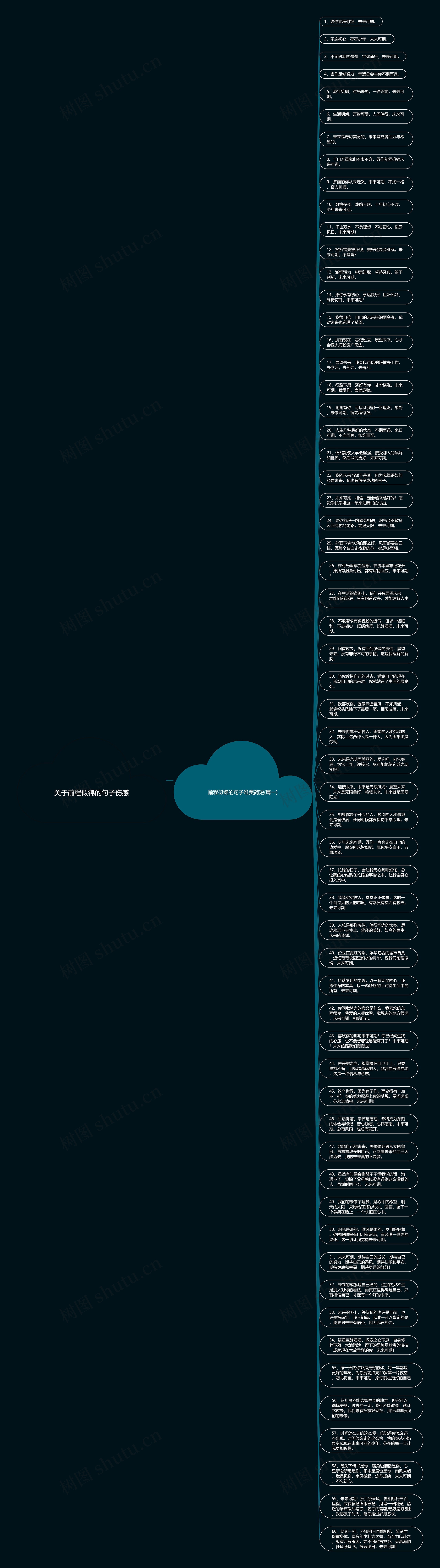 关于前程似锦的句子伤感思维导图
