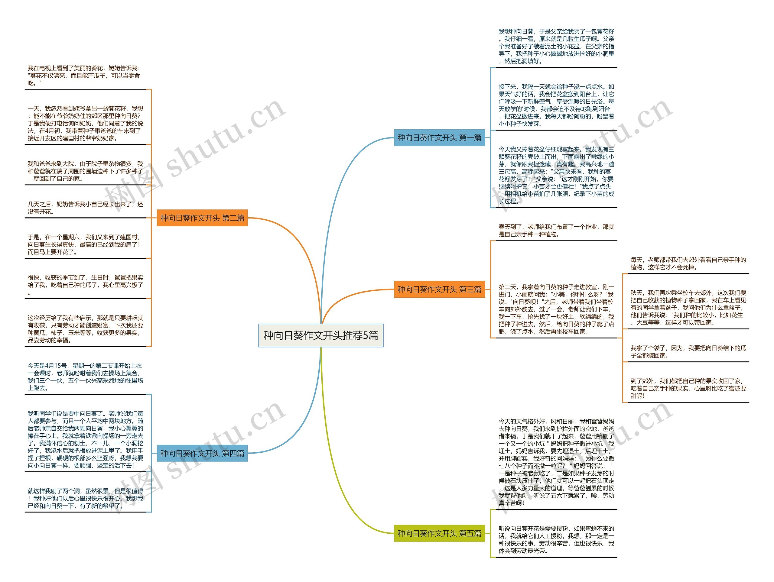 种向日葵作文开头推荐5篇 种向日葵作文开头推荐5篇