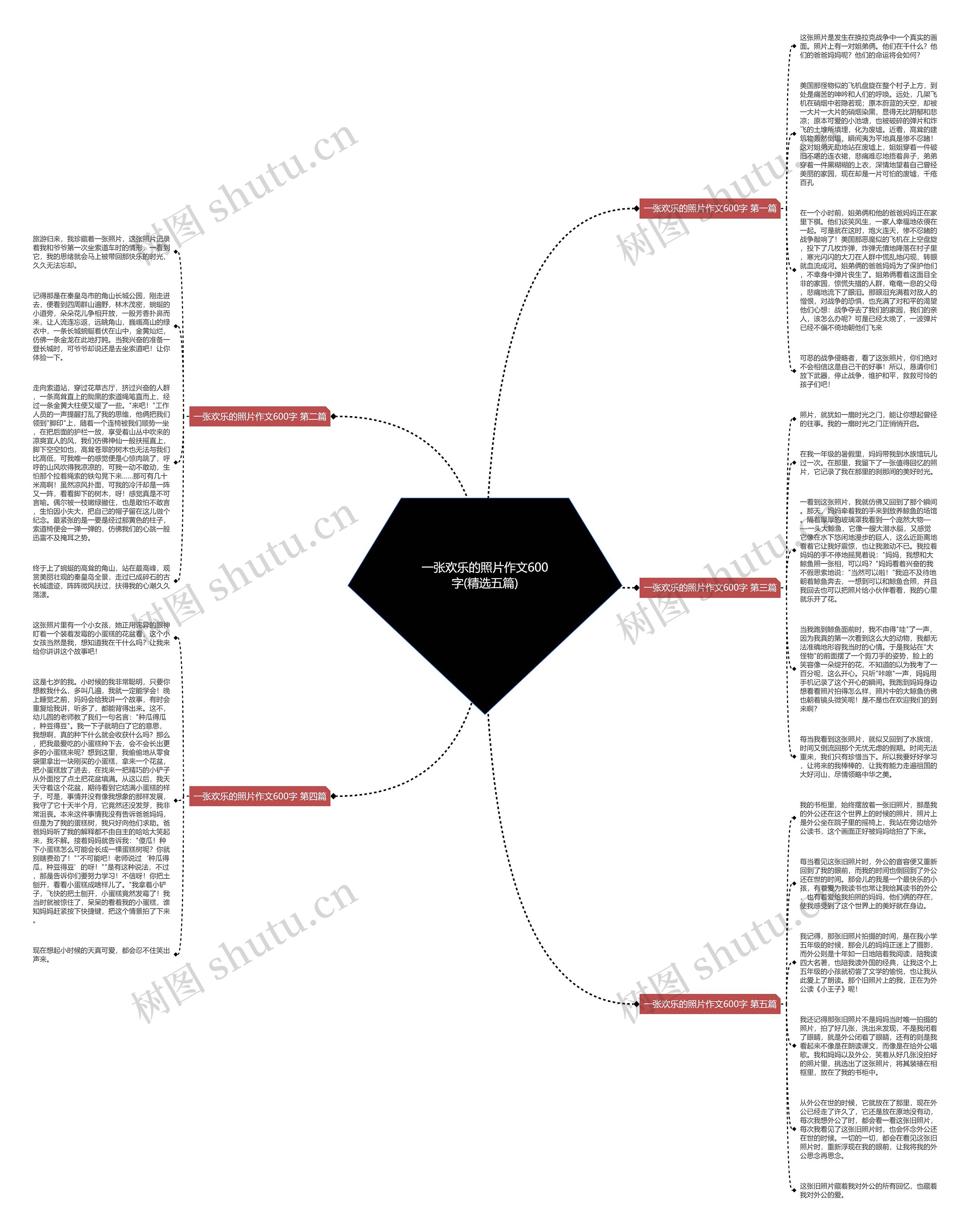 一张欢乐的照片作文600字(精选五篇)思维导图