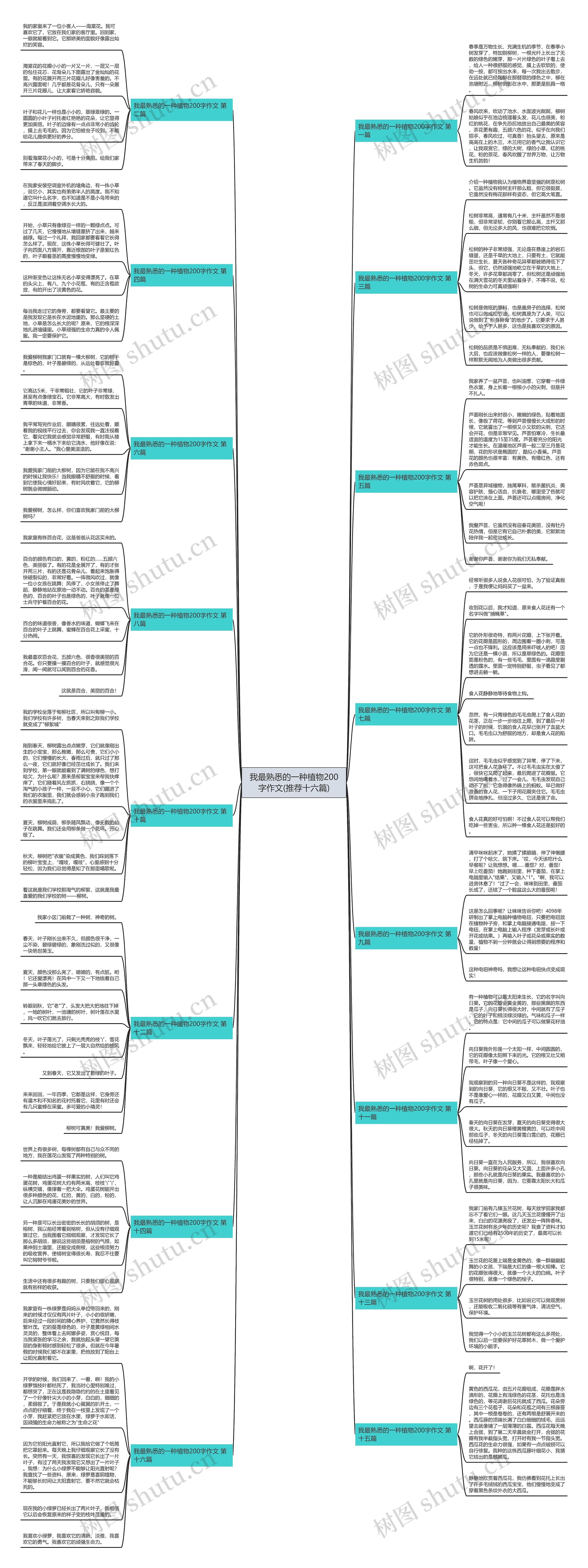 我最熟悉的一种植物200字作文(推荐十六篇)思维导图