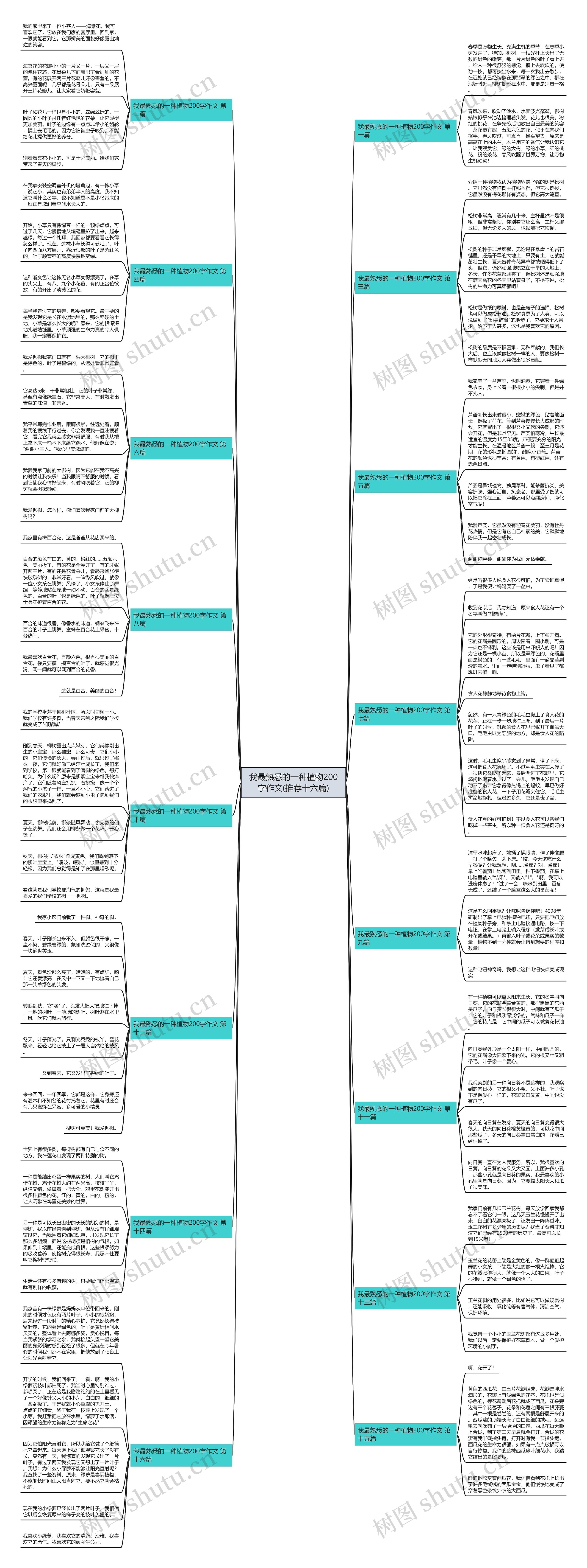 我最熟悉的一种植物200字作文(推荐十六篇) 我最熟悉的一种植物200字作文(推荐十六篇)