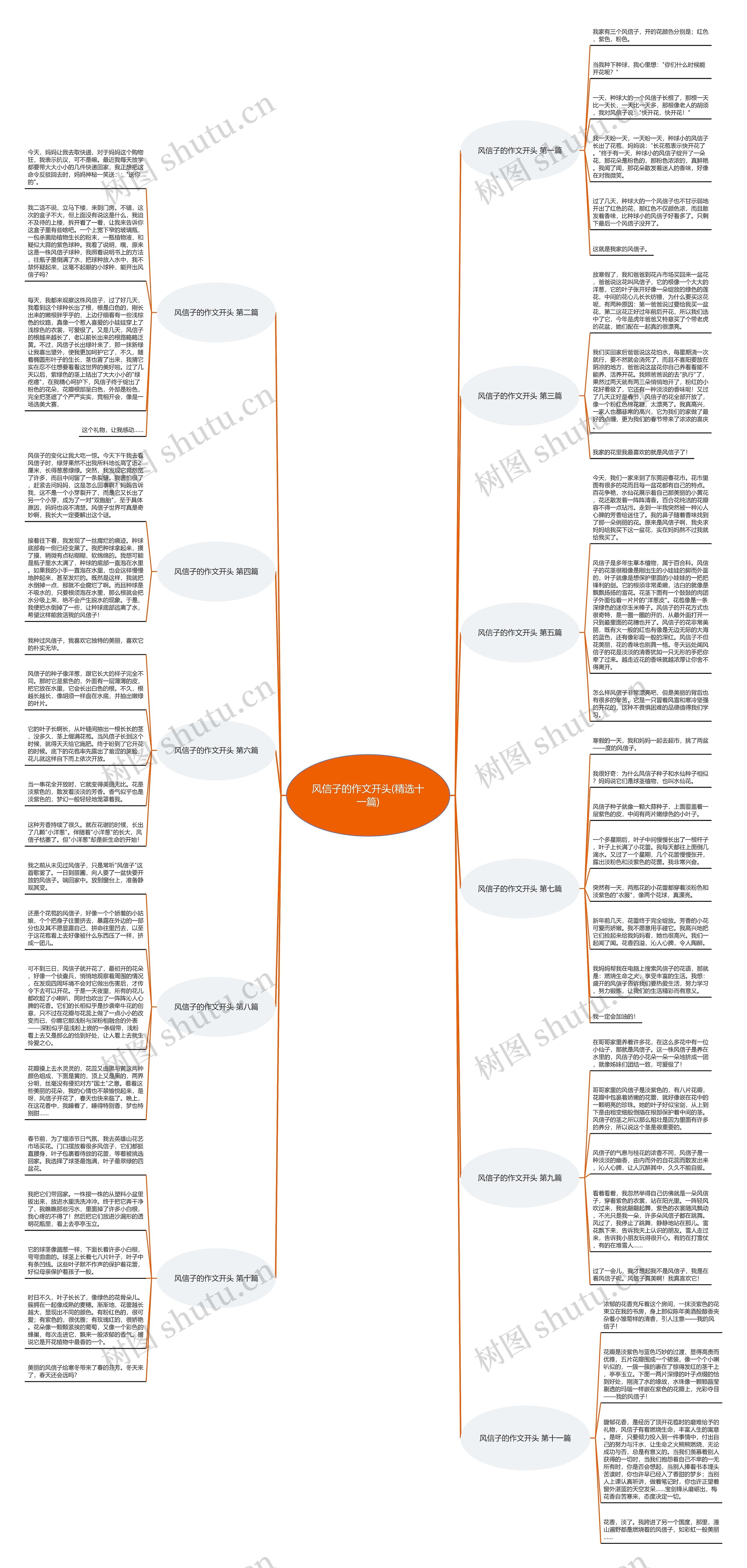 风信子的作文开头(精选十一篇)
