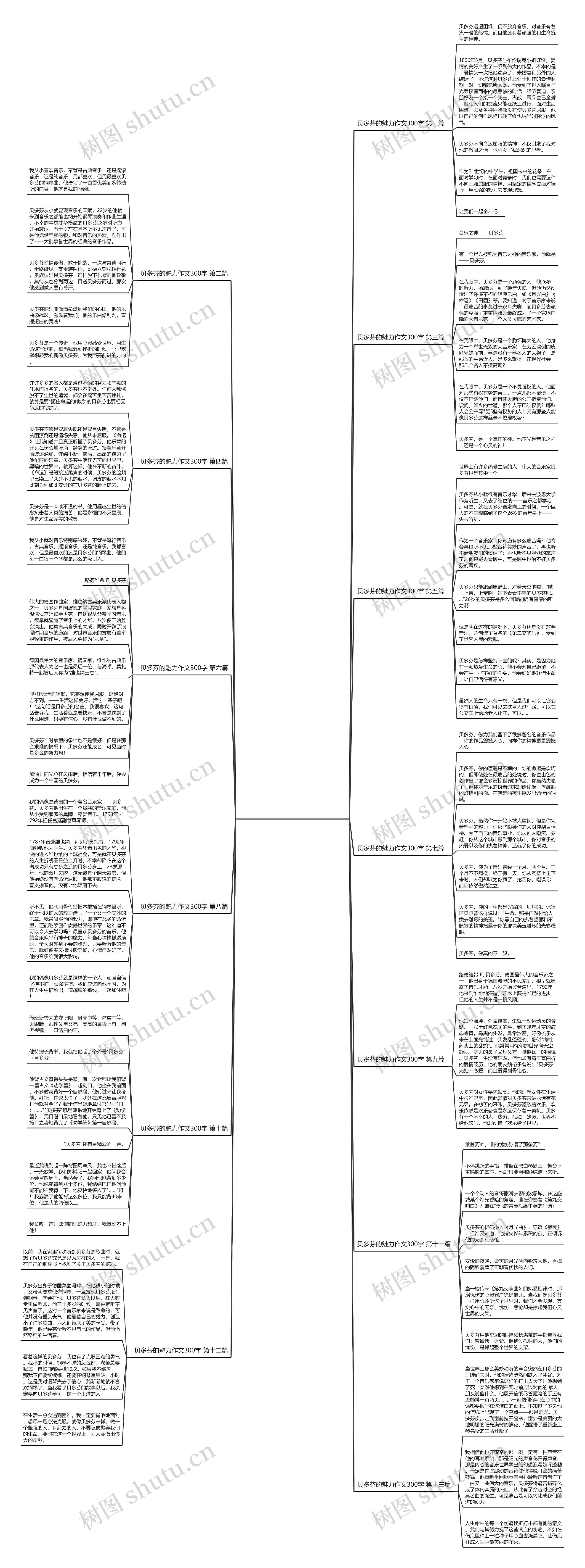 贝多芬的魅力作文300字精选13篇 贝多芬的魅力作文300字精选13篇