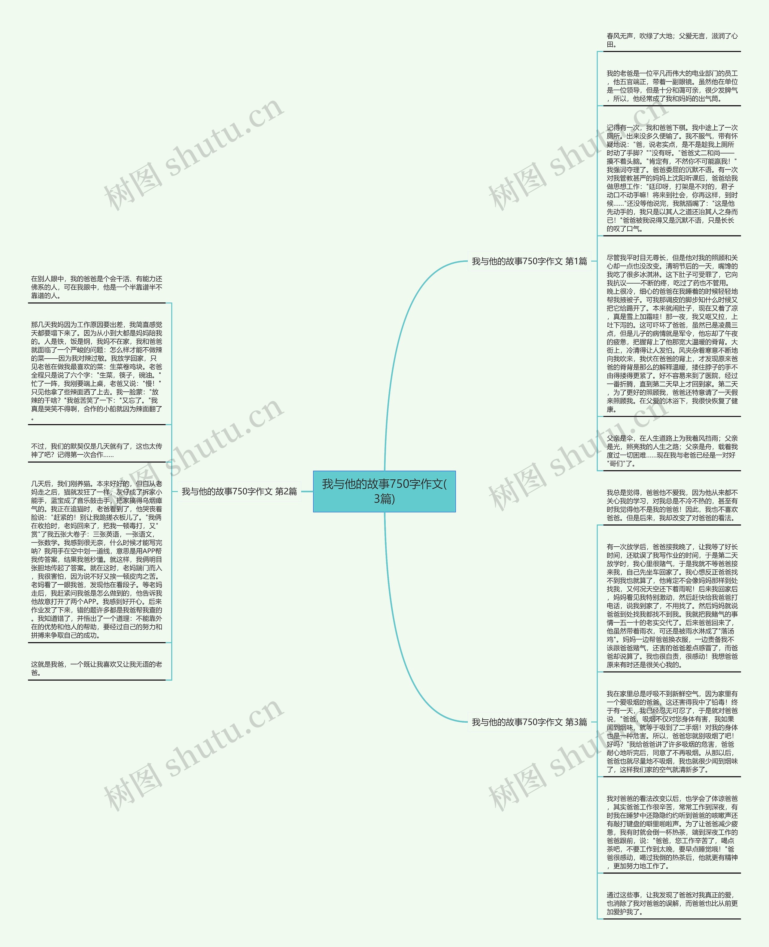 我与他的故事750字作文(3篇)思维导图