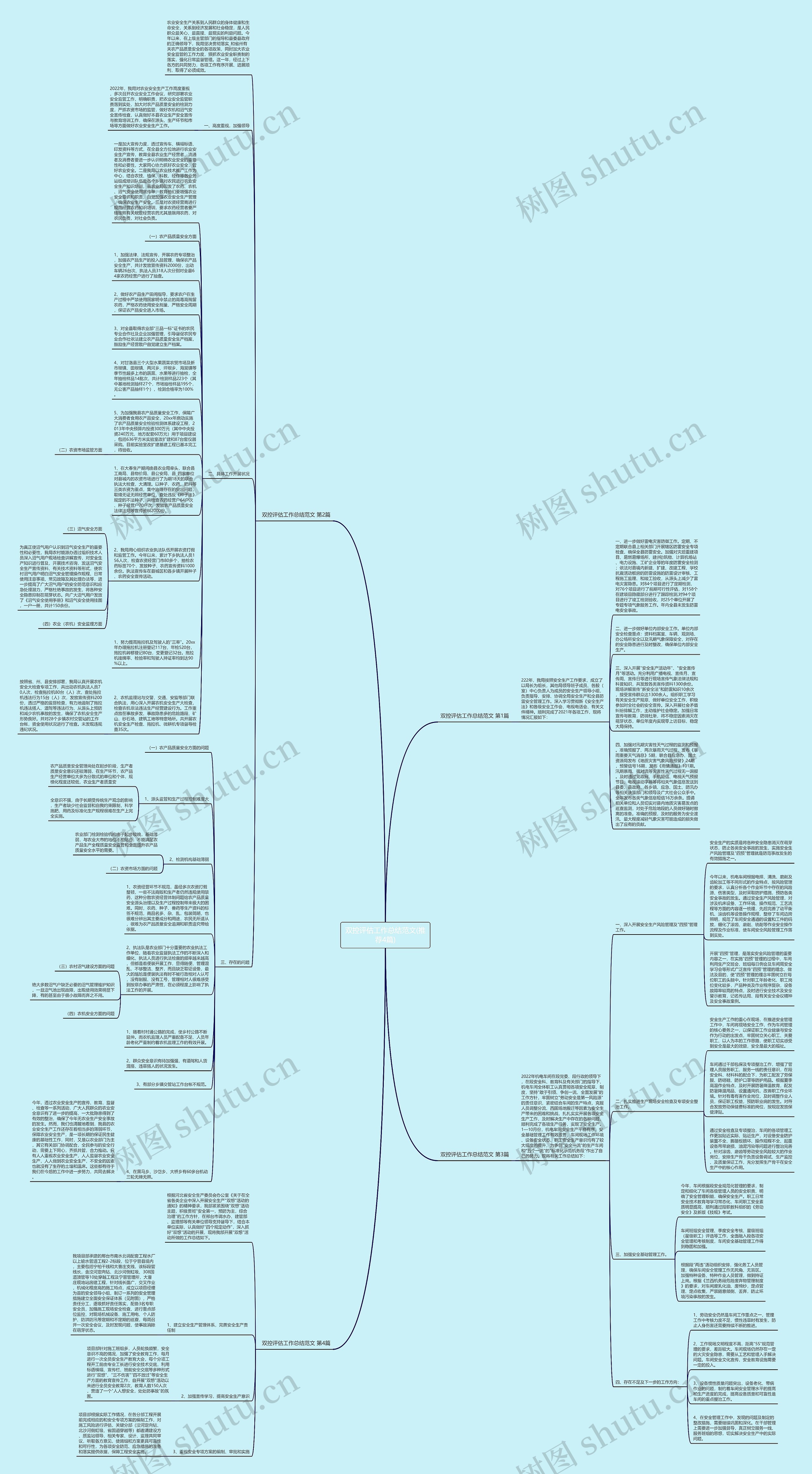 双控评估工作总结范文(推荐4篇)思维导图