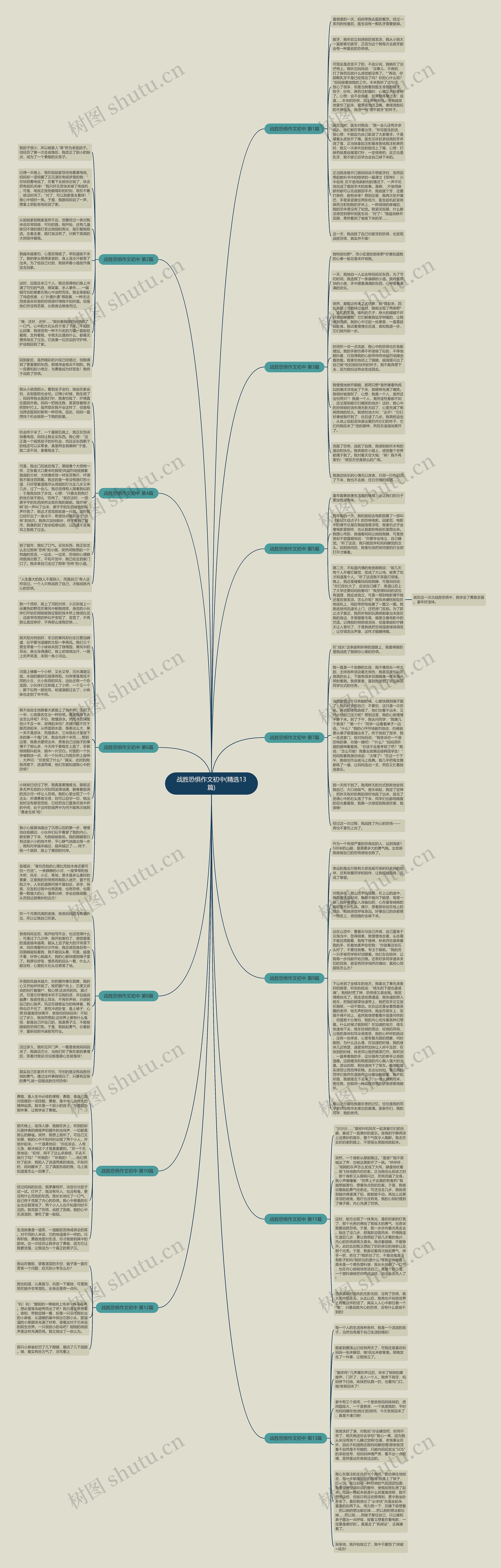 战胜恐惧作文初中(精选13篇)思维导图