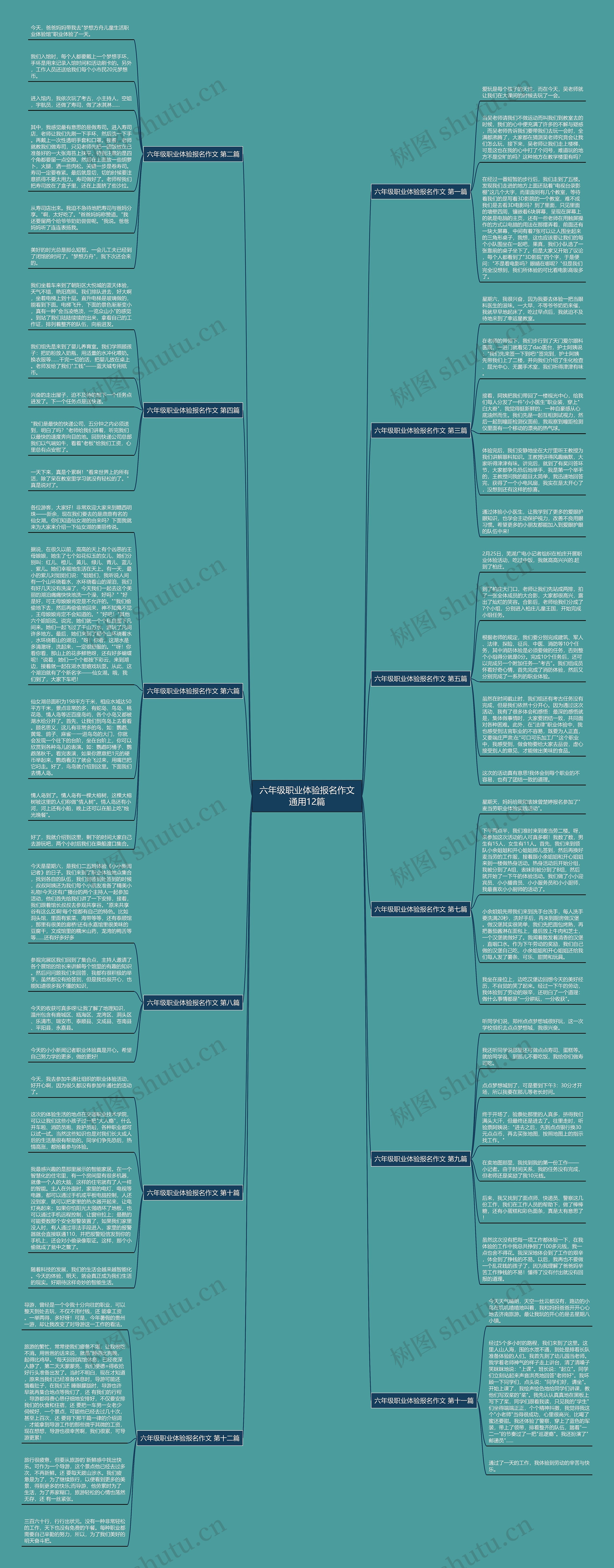 六年级职业体验报名作文通用12篇思维导图