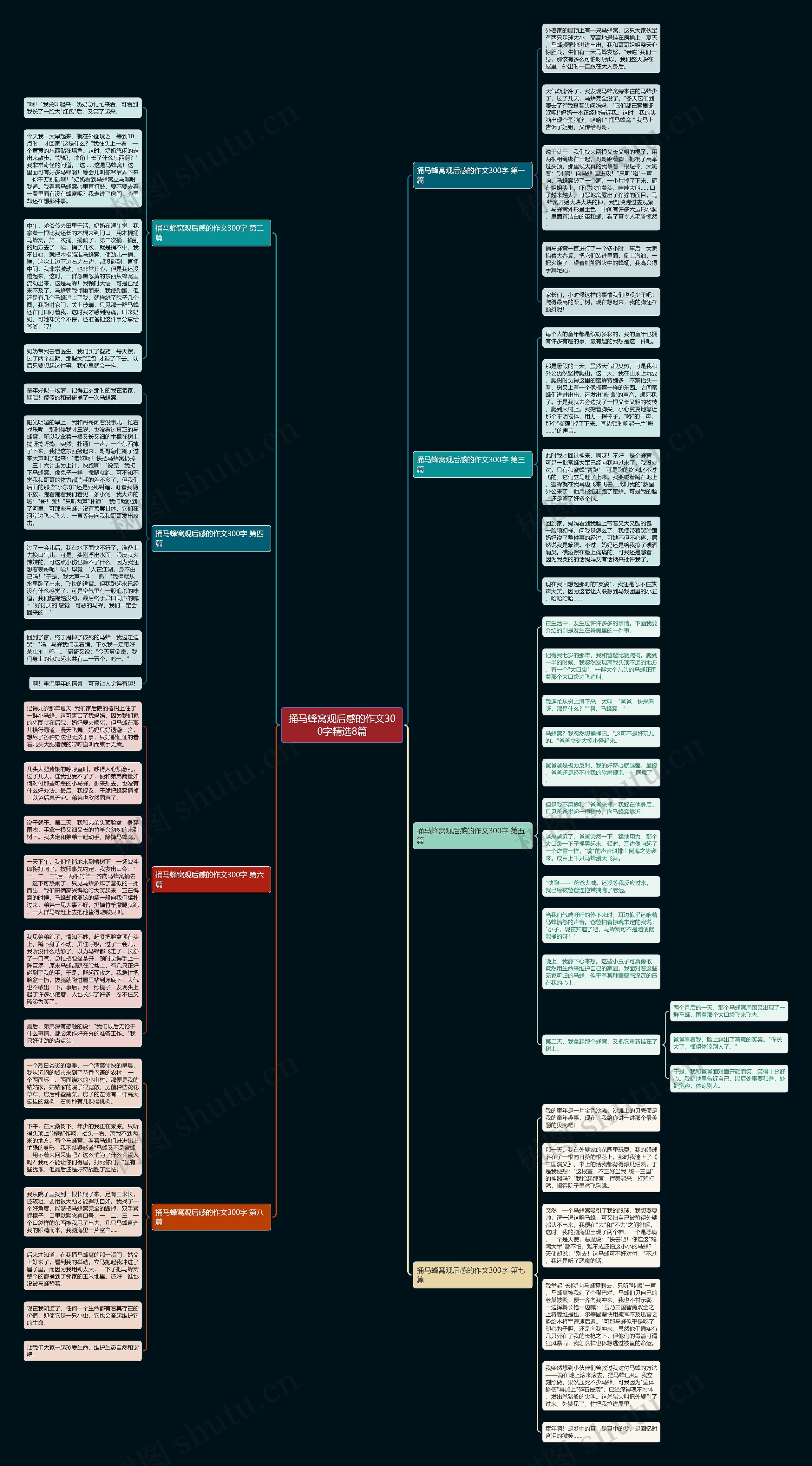 捅马蜂窝观后感的作文300字精选8篇思维导图