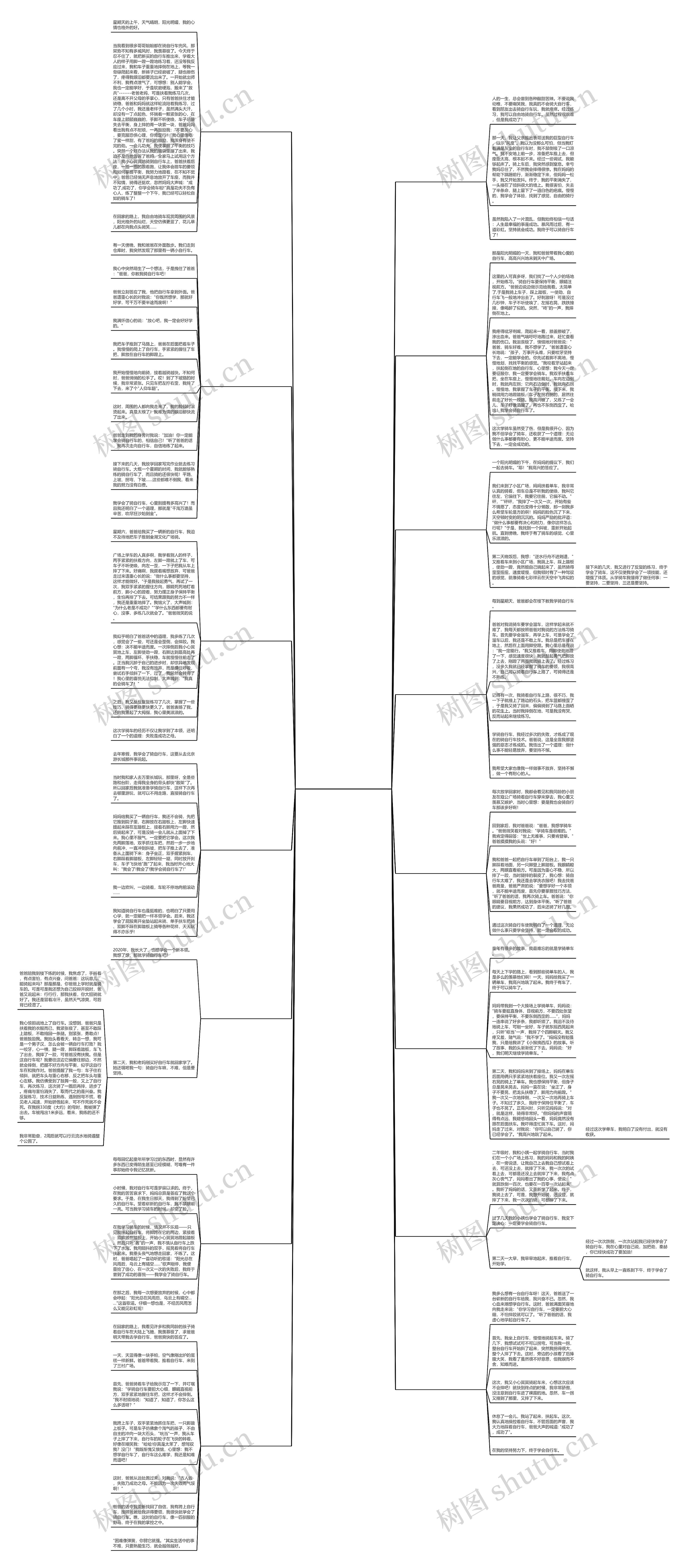 小学三年级作文我学会了平衡车(精选十五篇) 小学三年级作文我学会了平衡车(精选十五篇)