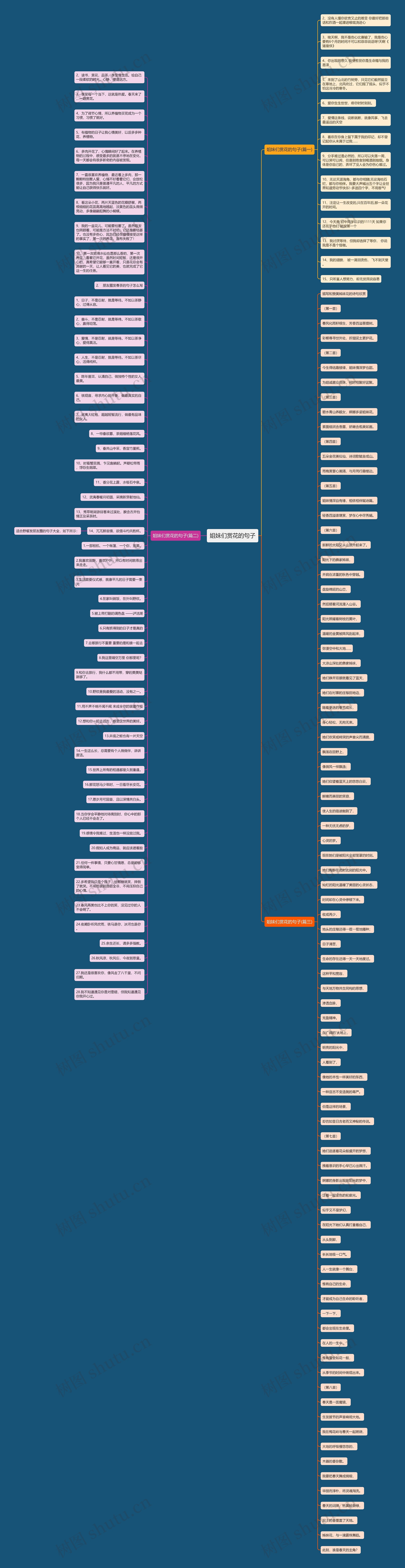 姐妹们赏花的句子思维导图