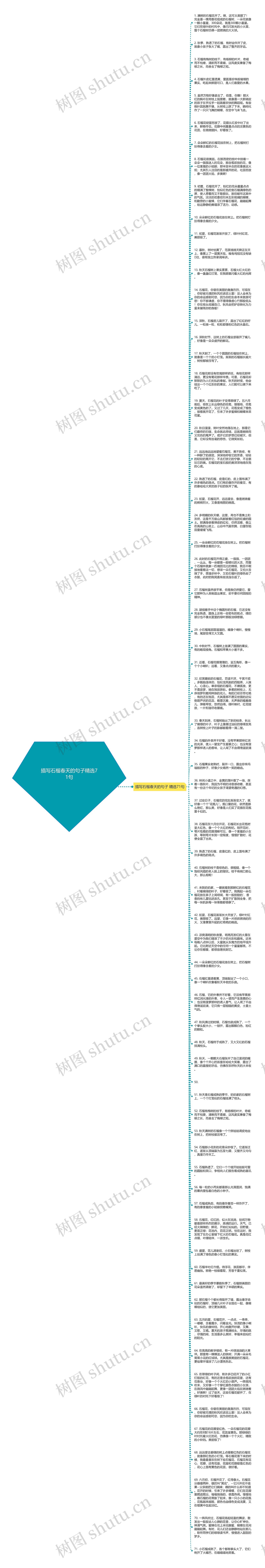 描写石榴春天的句子精选71句思维导图