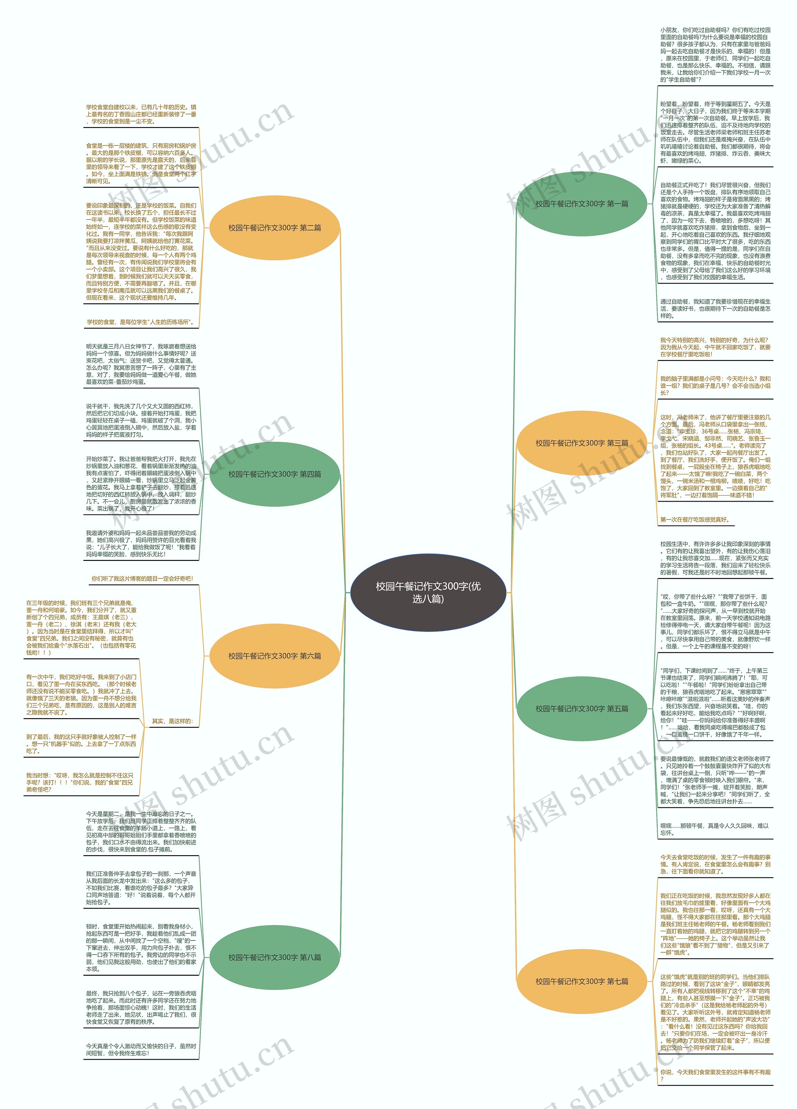 校园午餐记作文300字(优选八篇)思维导图