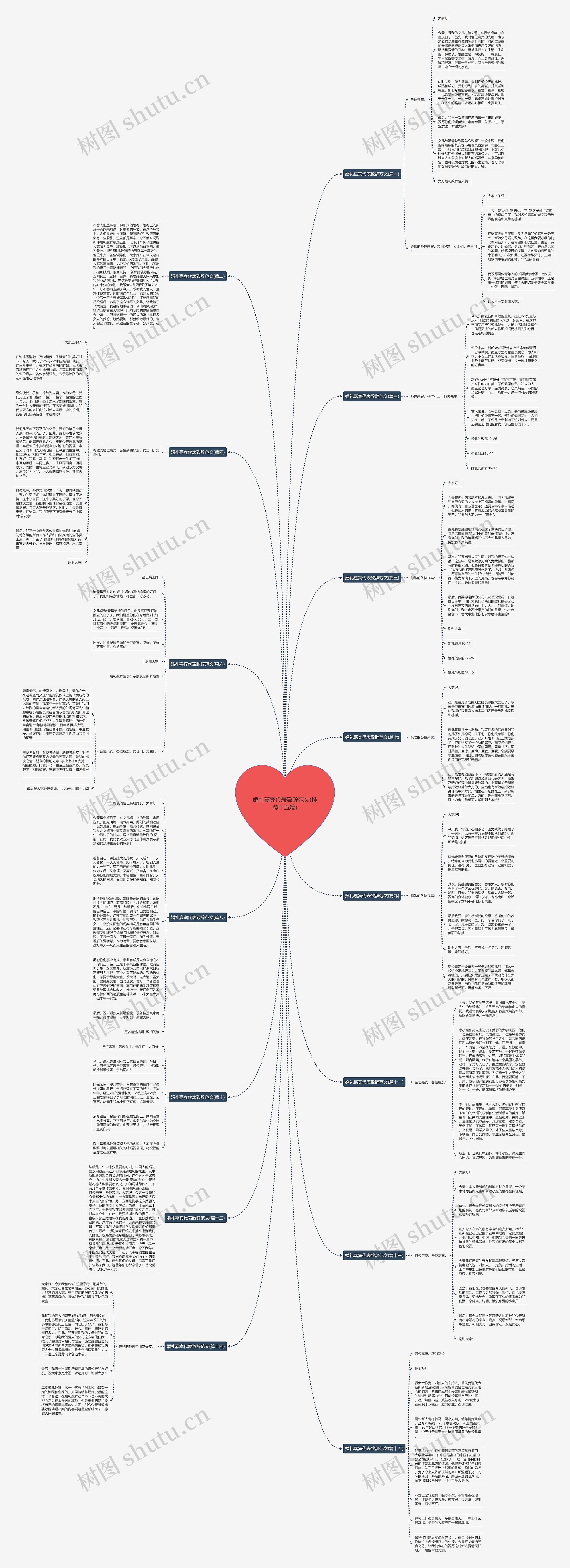 婚礼嘉宾代表致辞范文(推荐十五篇)思维导图