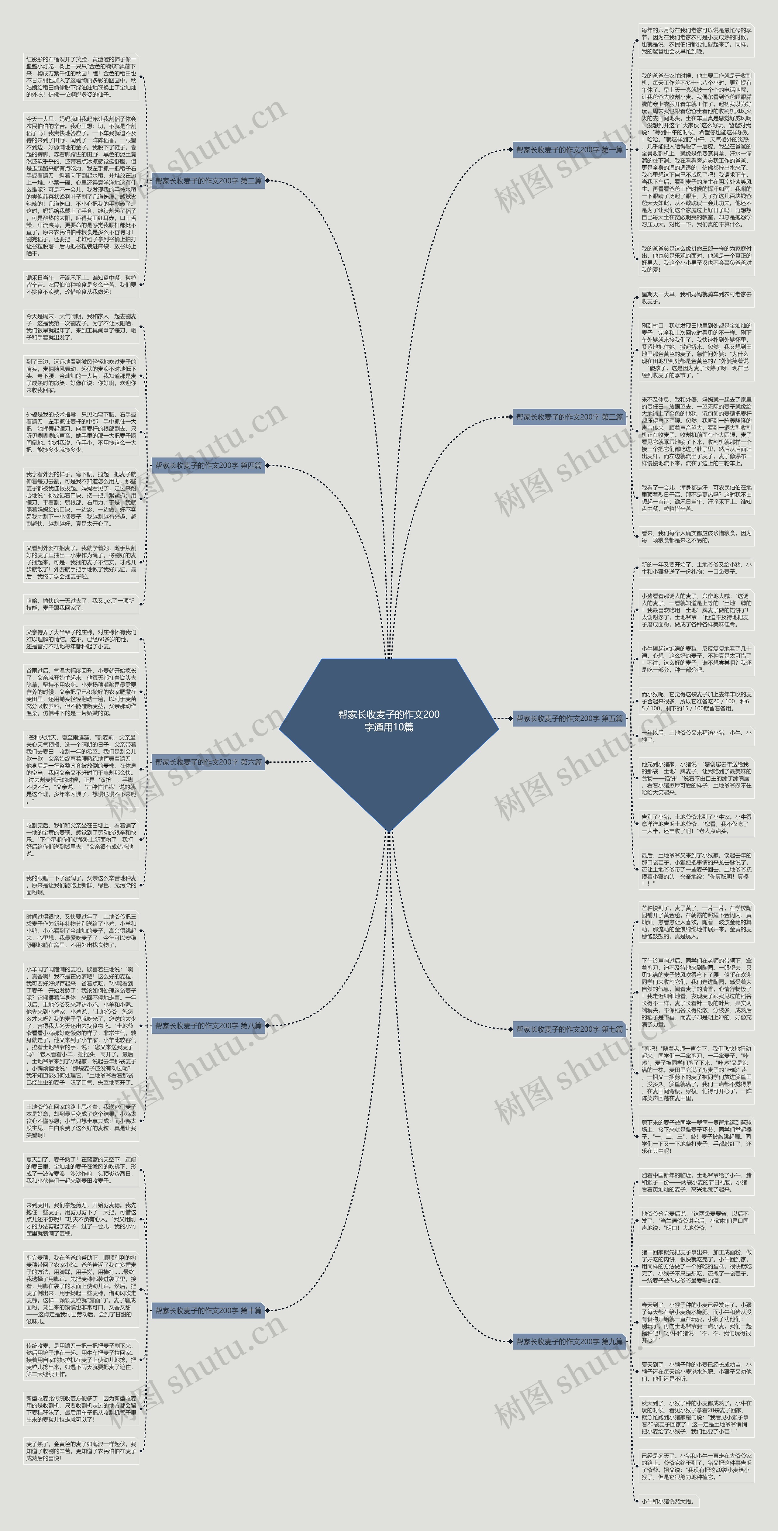 帮家长收麦子的作文200字通用10篇思维导图