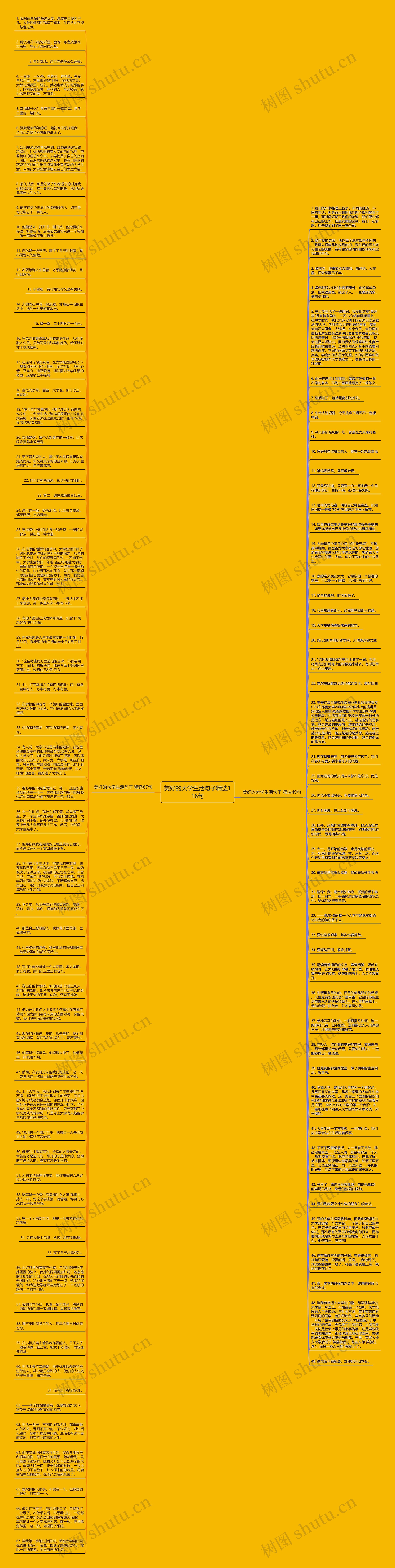 美好的大学生活句子精选116句