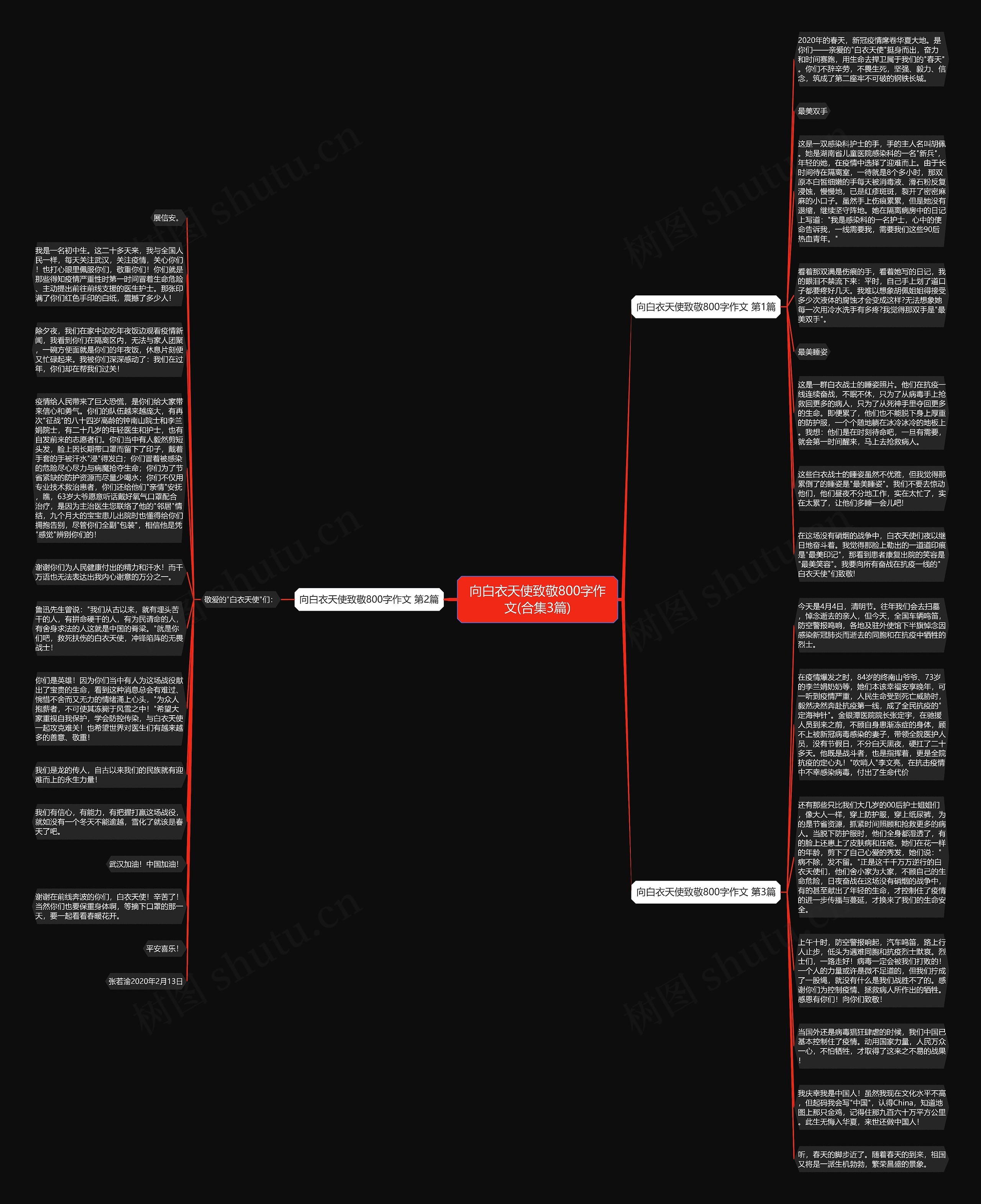 向白衣天使致敬800字作文(合集3篇)思维导图