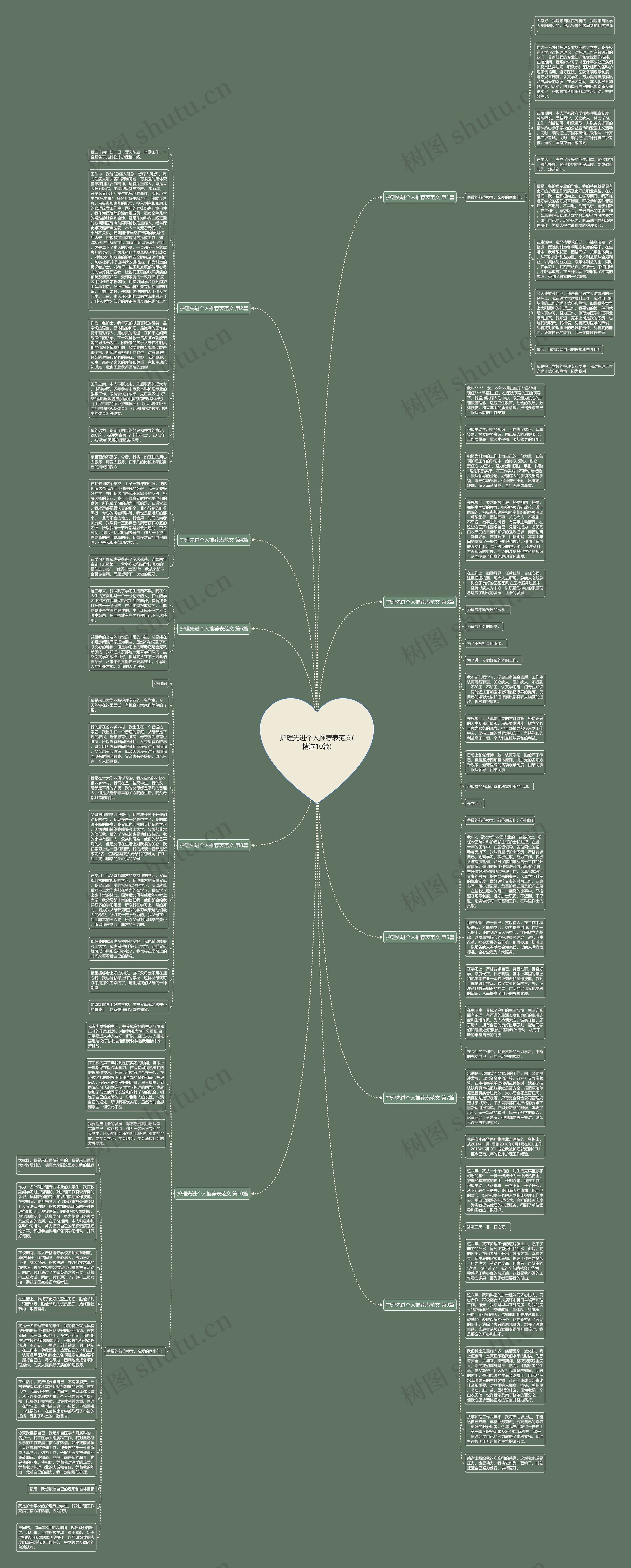 护理先进个人推荐表范文(精选10篇)思维导图
