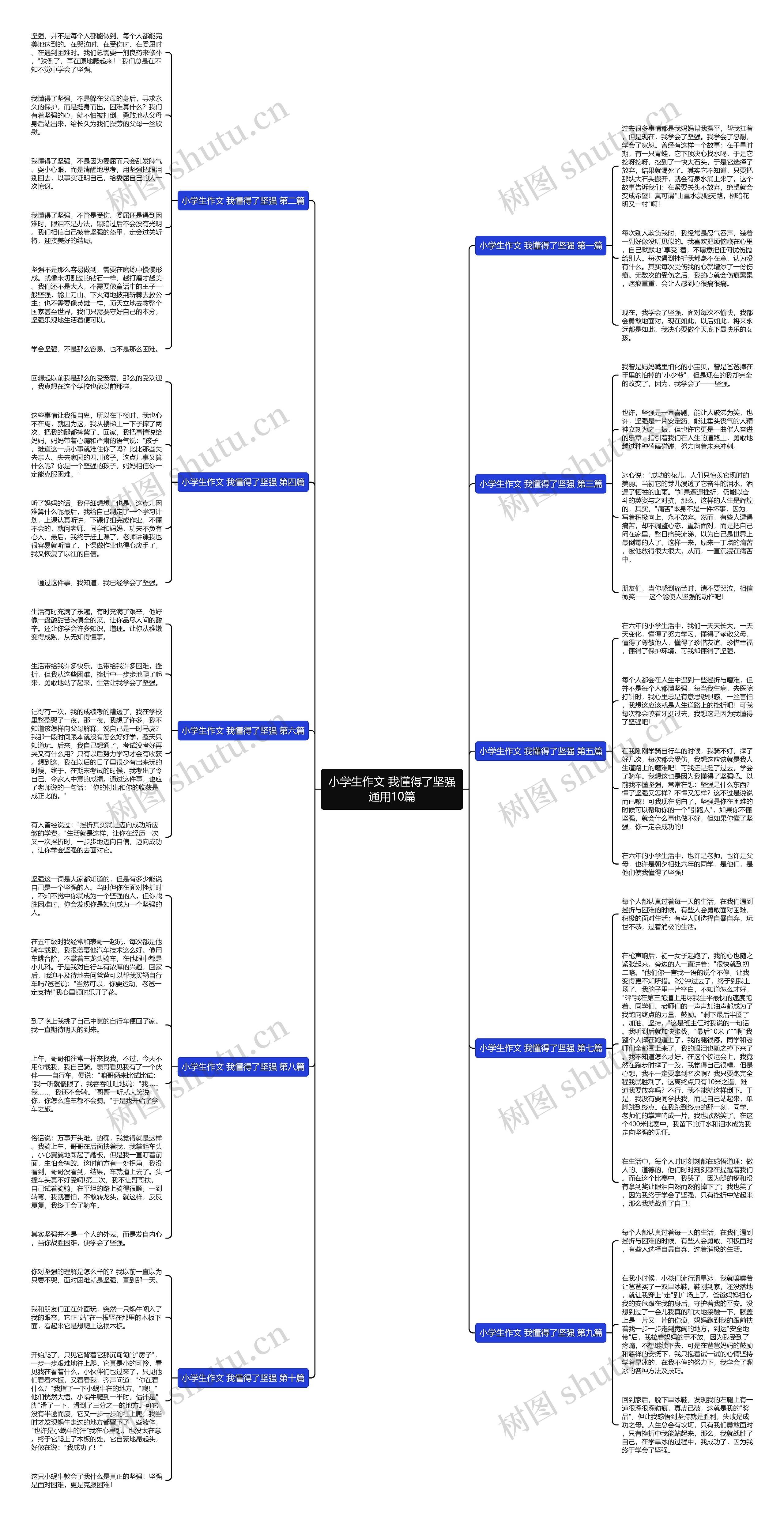 小学生作文 我懂得了坚强通用10篇思维导图