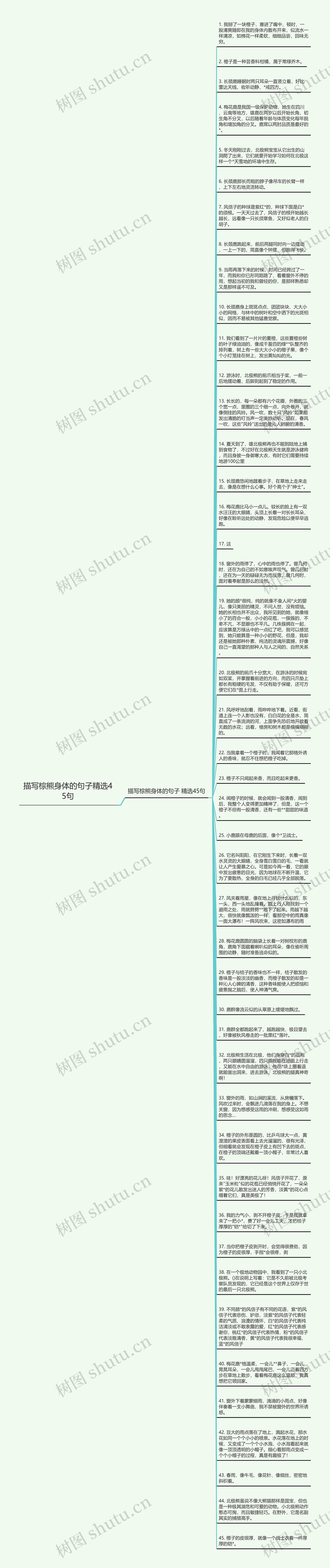 描写棕熊身体的句子精选45句思维导图