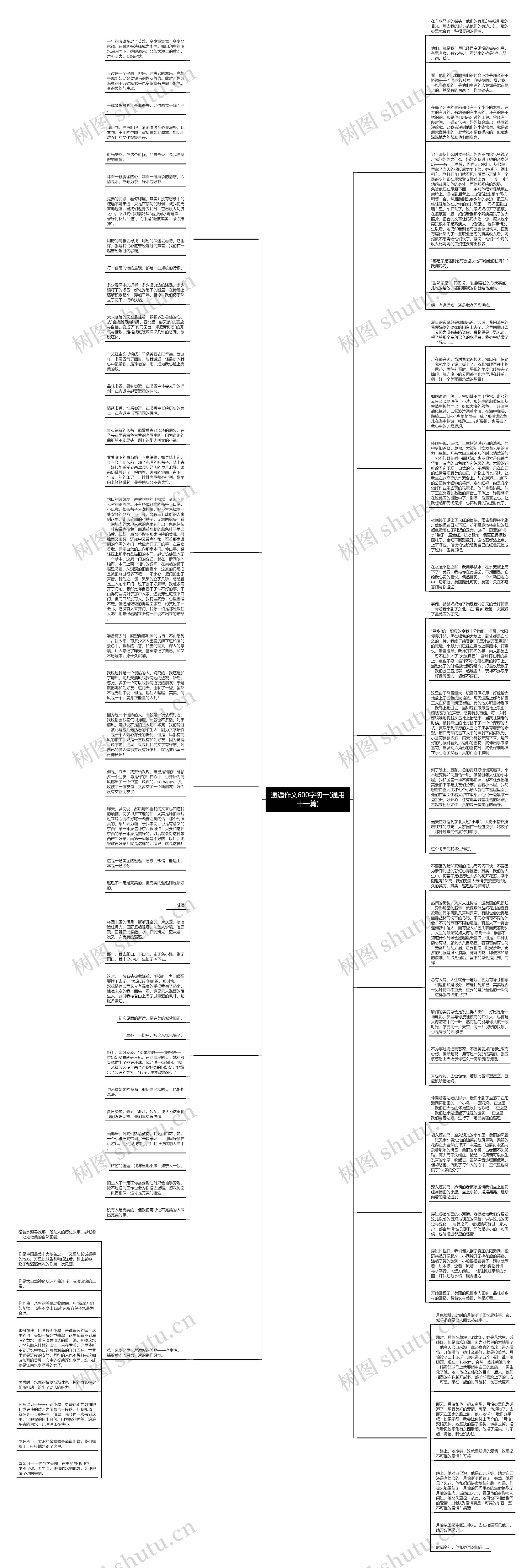 邂逅作文600字初一(通用十一篇)思维导图