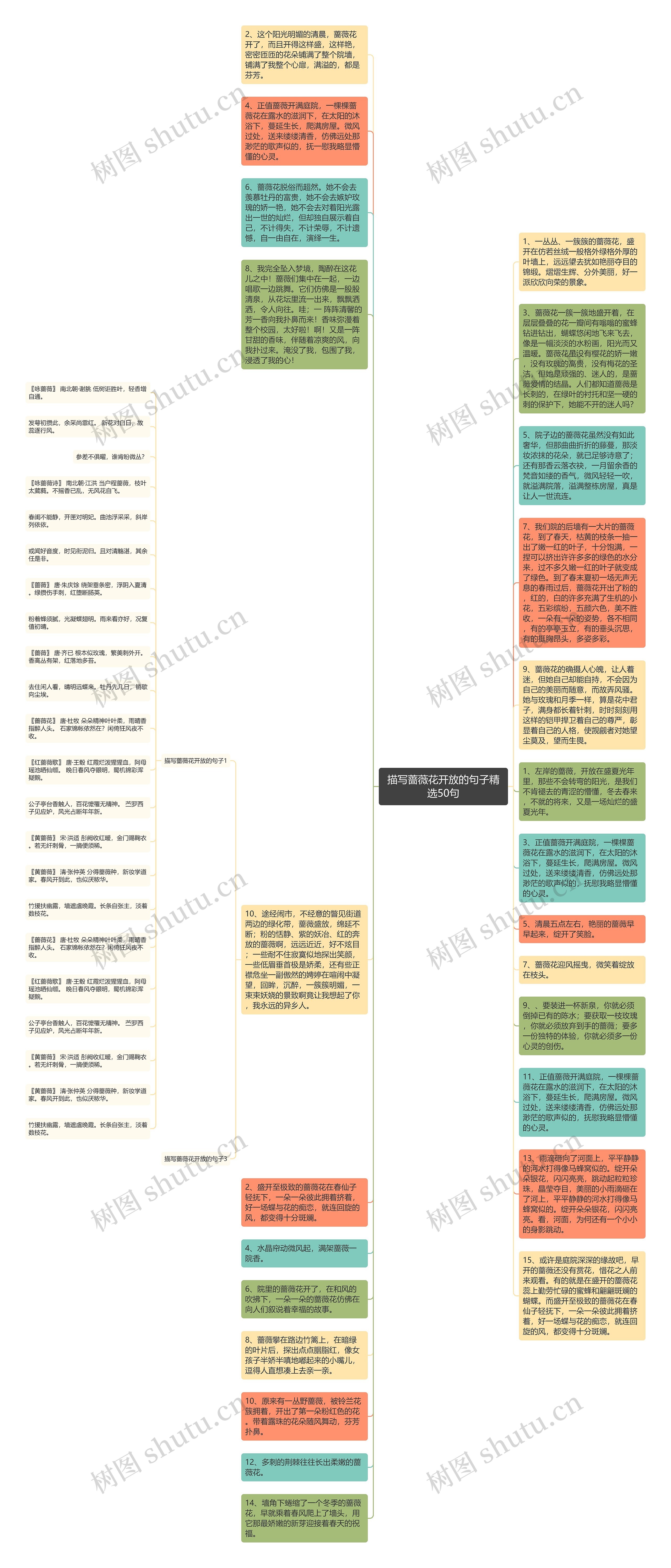 描写蔷薇花开放的句子精选50句思维导图