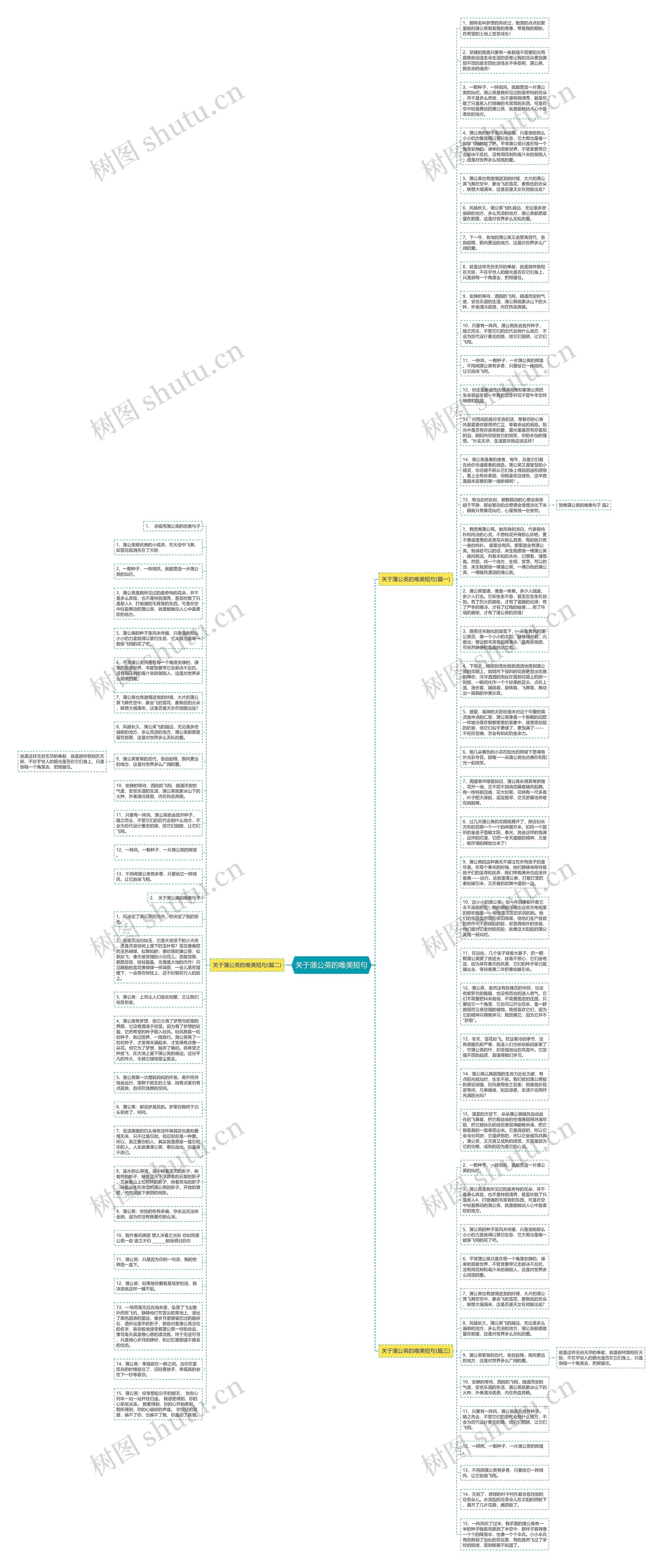关于蒲公英的唯美短句思维导图