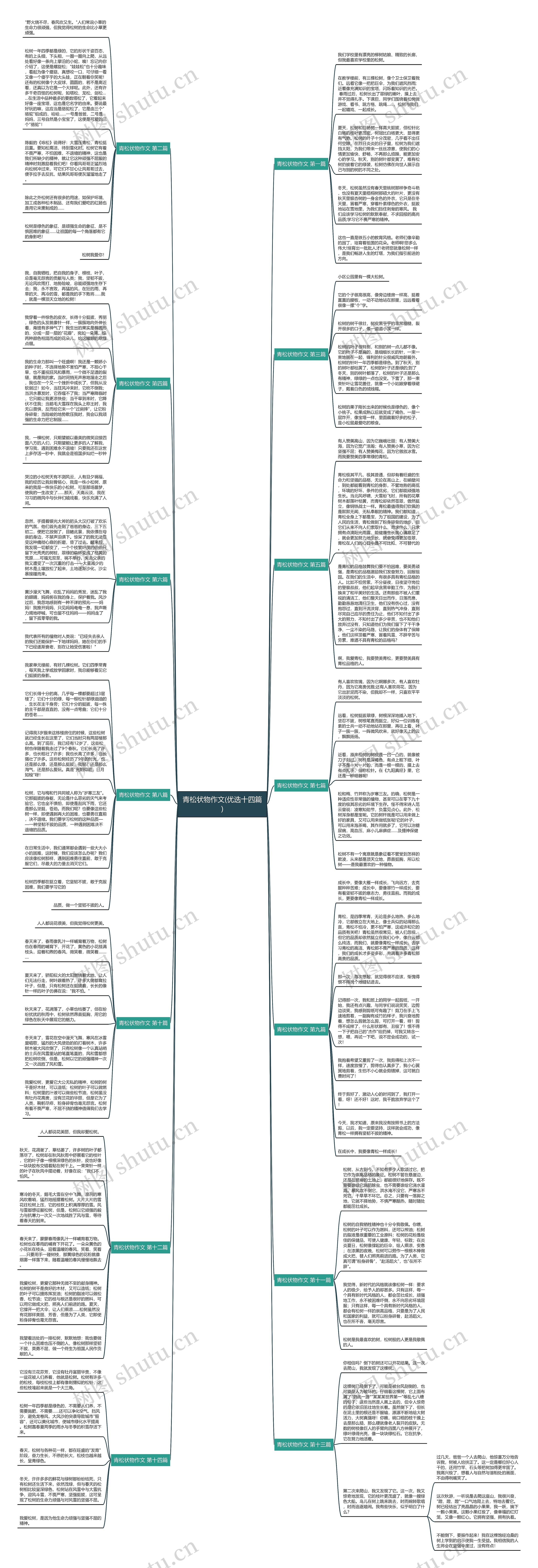 青松状物作文(优选十四篇)