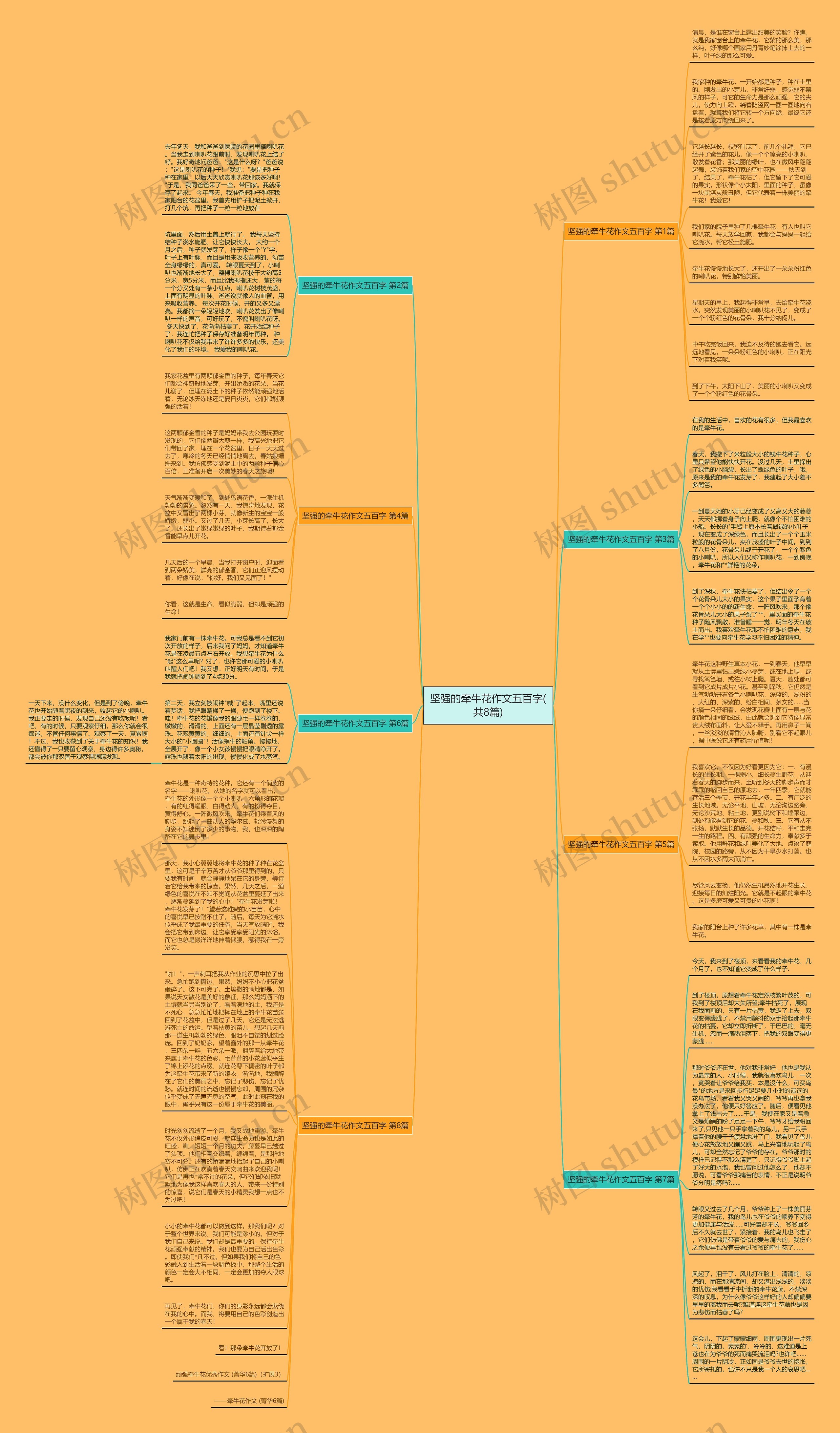 坚强的牵牛花作文五百字(共8篇)思维导图高清图 坚强的牵牛花作文五百字(共8篇)思维导图