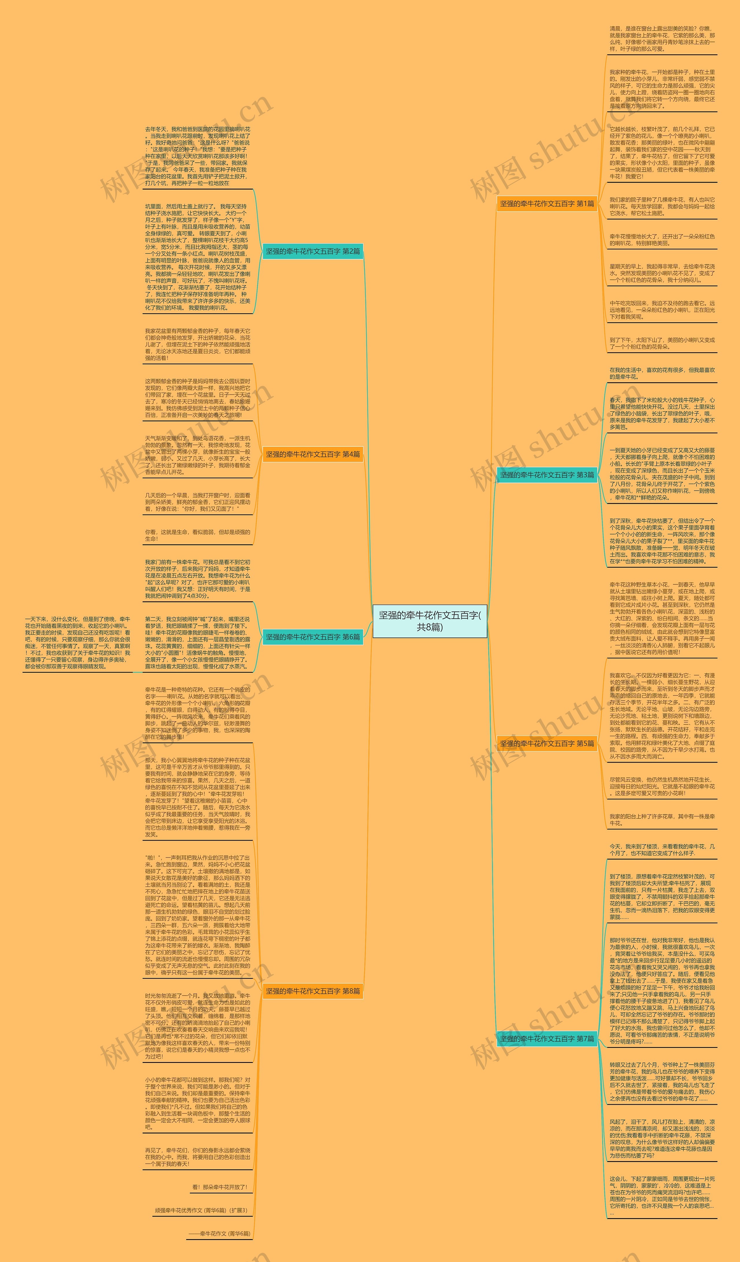 坚强的牵牛花作文五百字(共8篇)思维导图