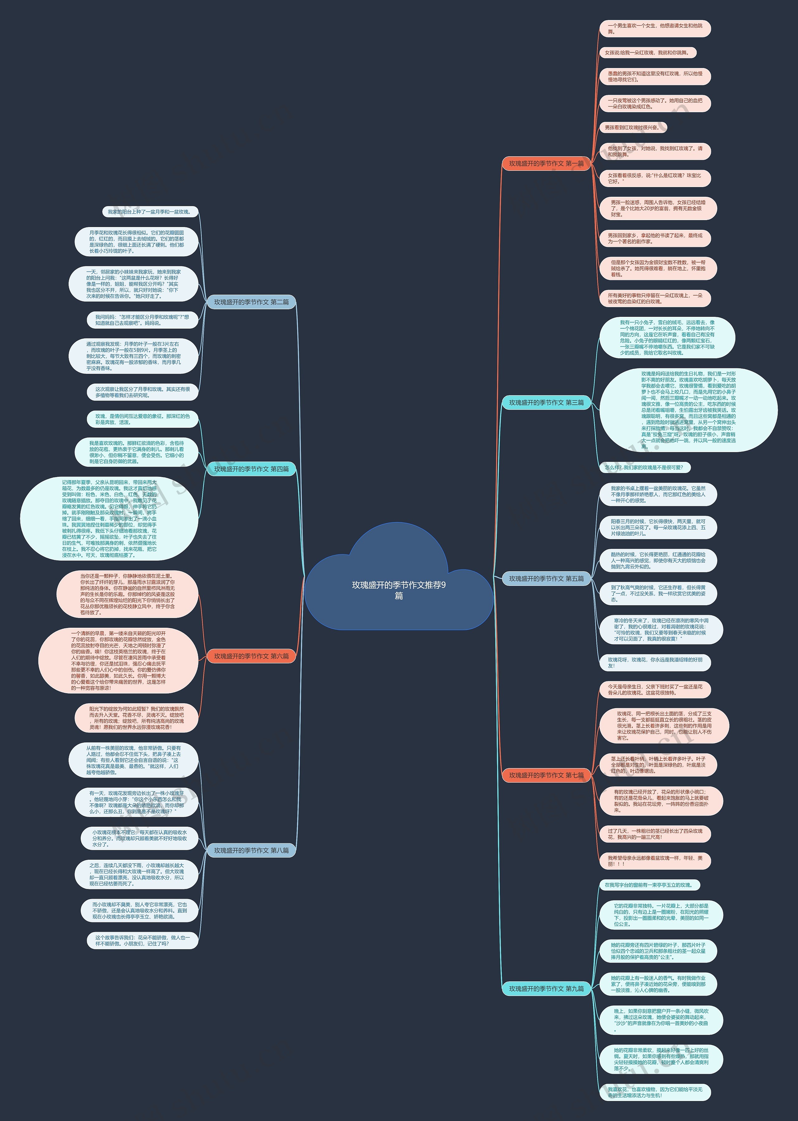玫瑰盛开的季节作文推荐9篇 玫瑰盛开的季节作文推荐9篇