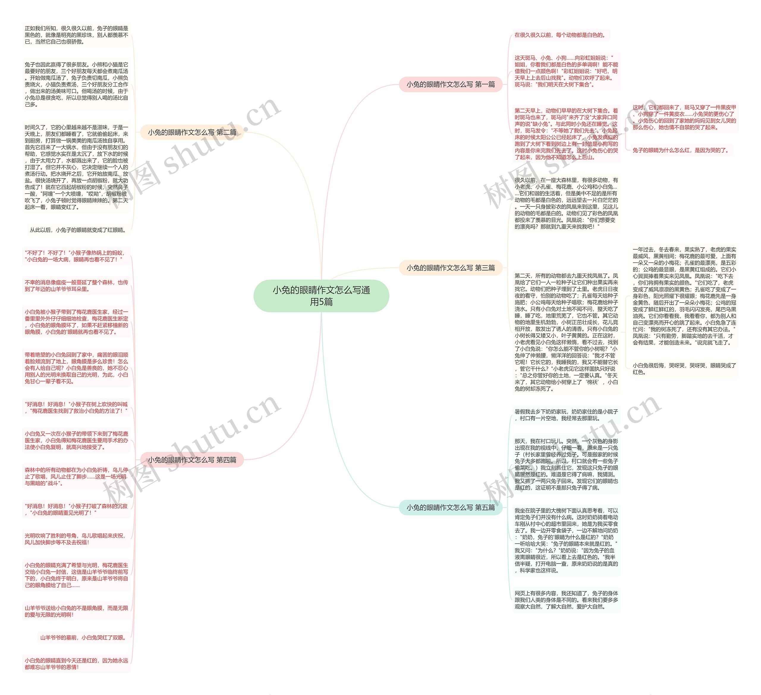 小兔的眼睛作文怎么写通用5篇思维导图