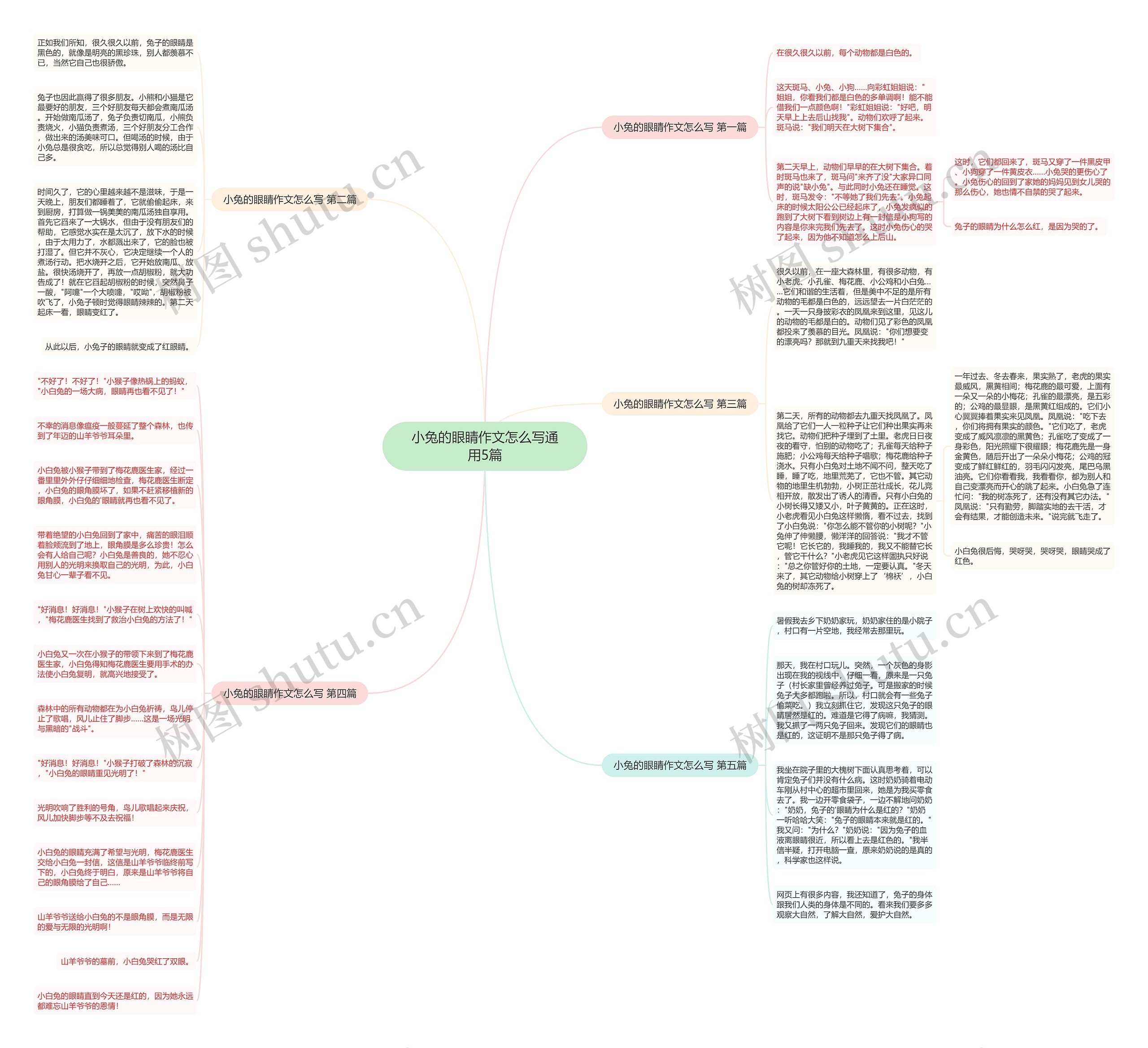 小兔的眼睛作文怎么写通用5篇 小兔的眼睛作文怎么写通用5篇