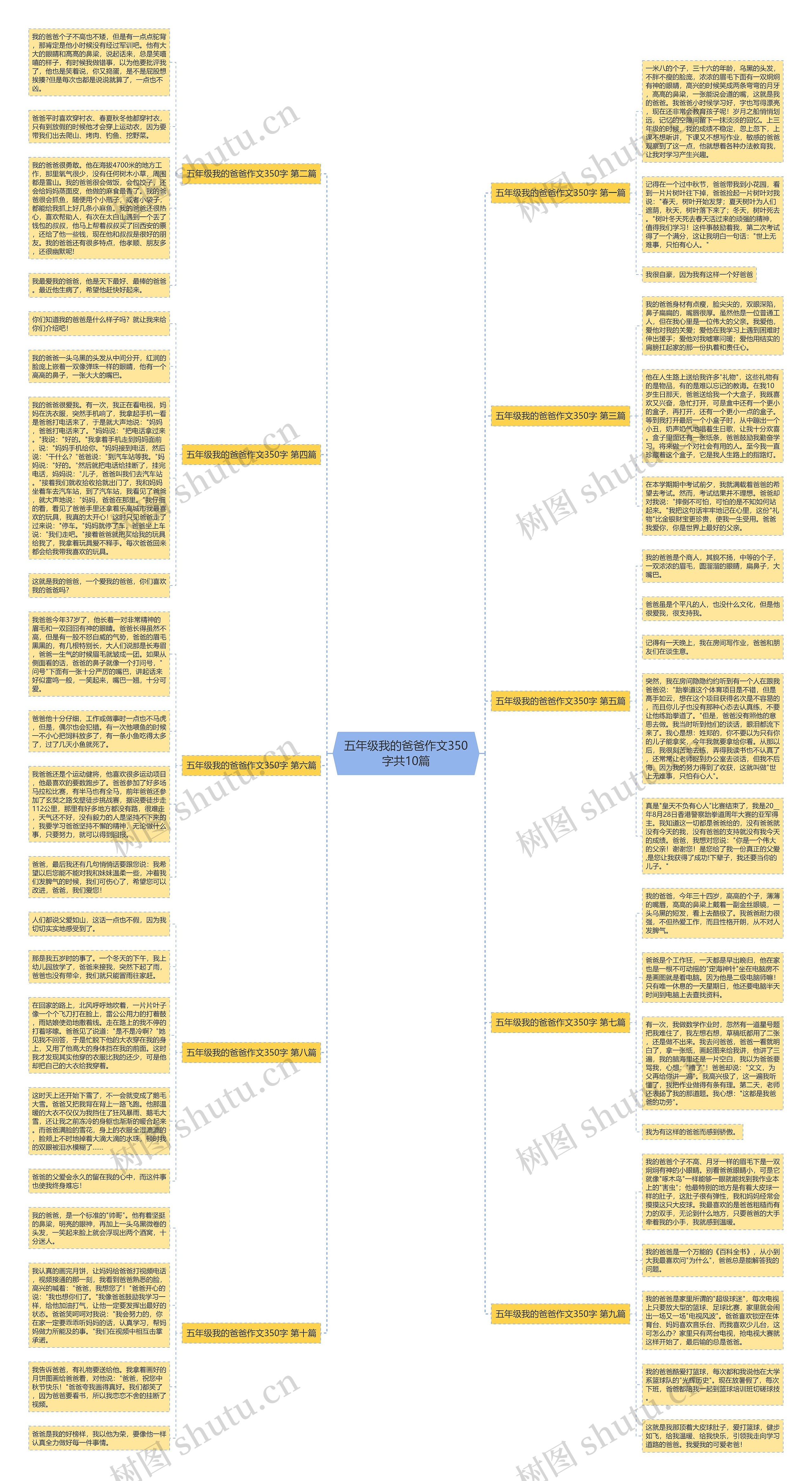 五年级我的爸爸作文350字共10篇 五年级我的爸爸作文350字共10篇