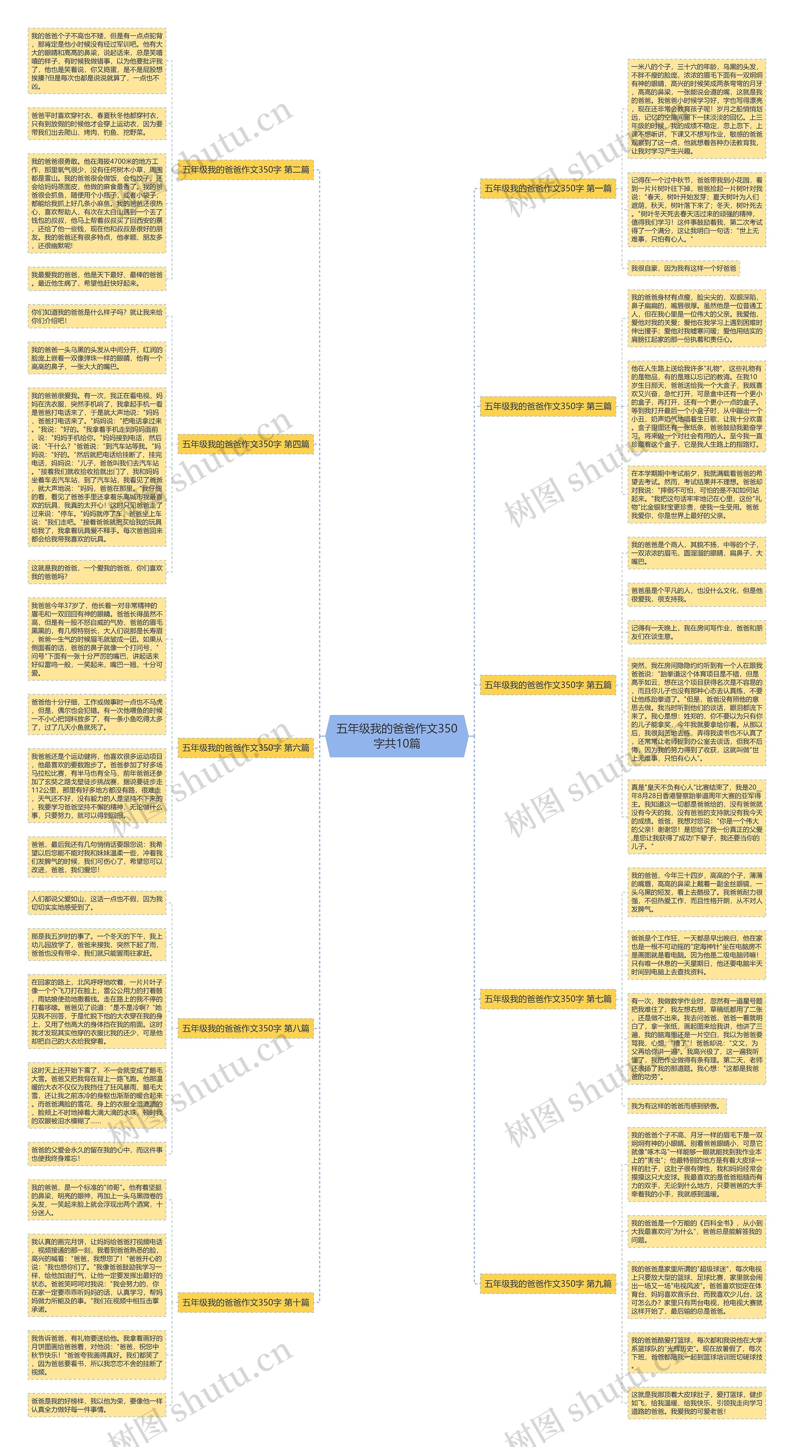 五年级我的爸爸作文350字共10篇思维导图