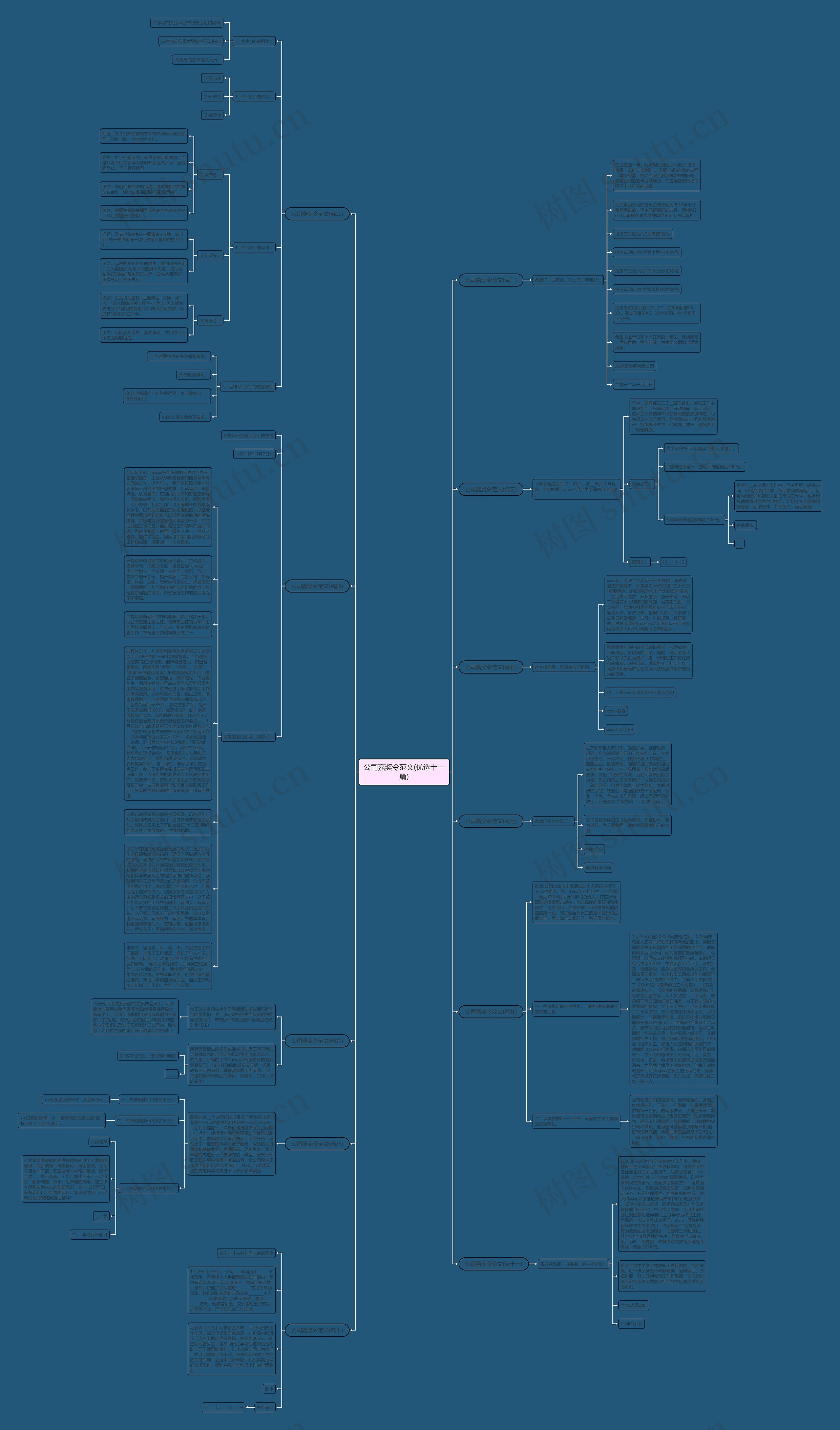 公司嘉奖令范文(优选十一篇)思维导图