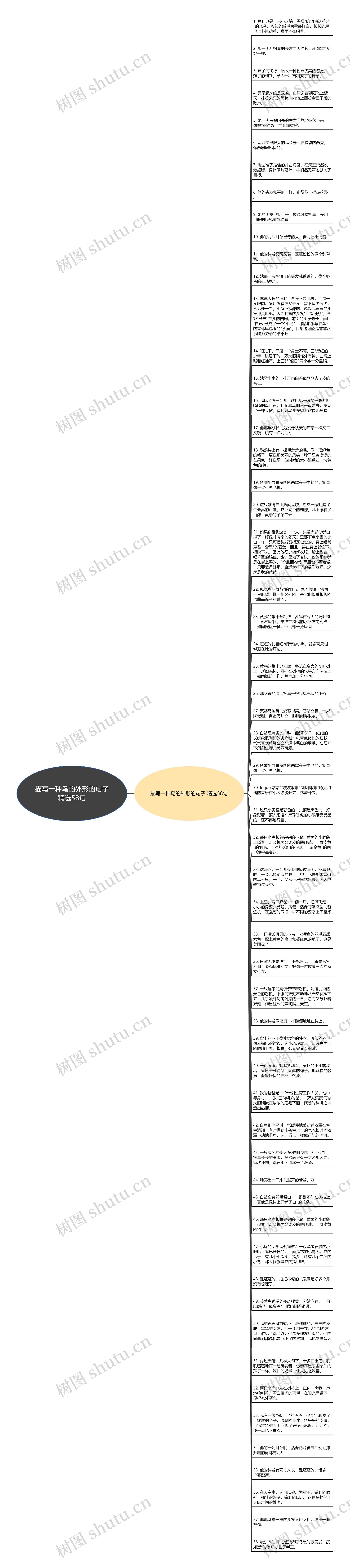 描写一种鸟的外形的句子精选58句思维导图