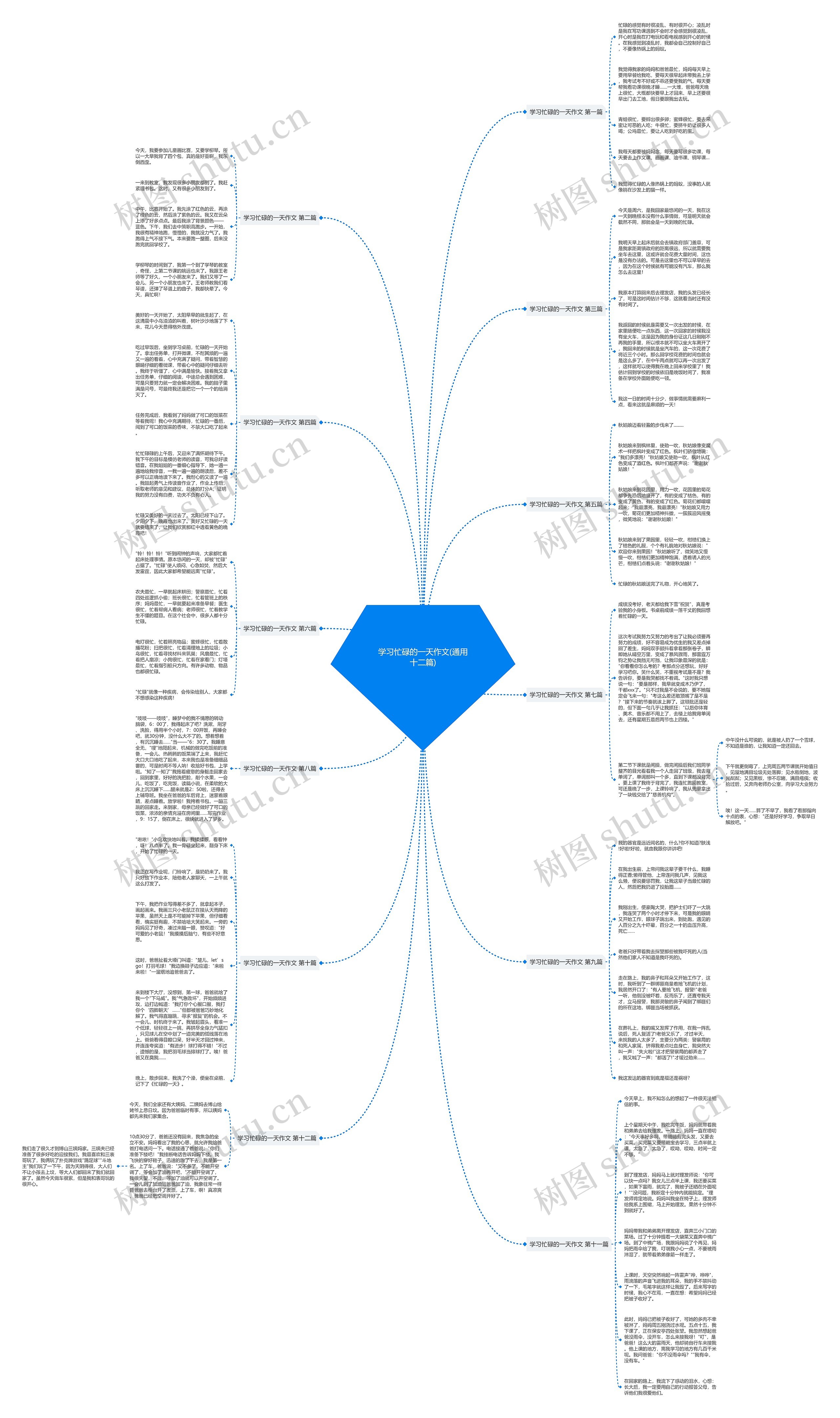 学习忙碌的一天作文(通用十二篇)思维导图