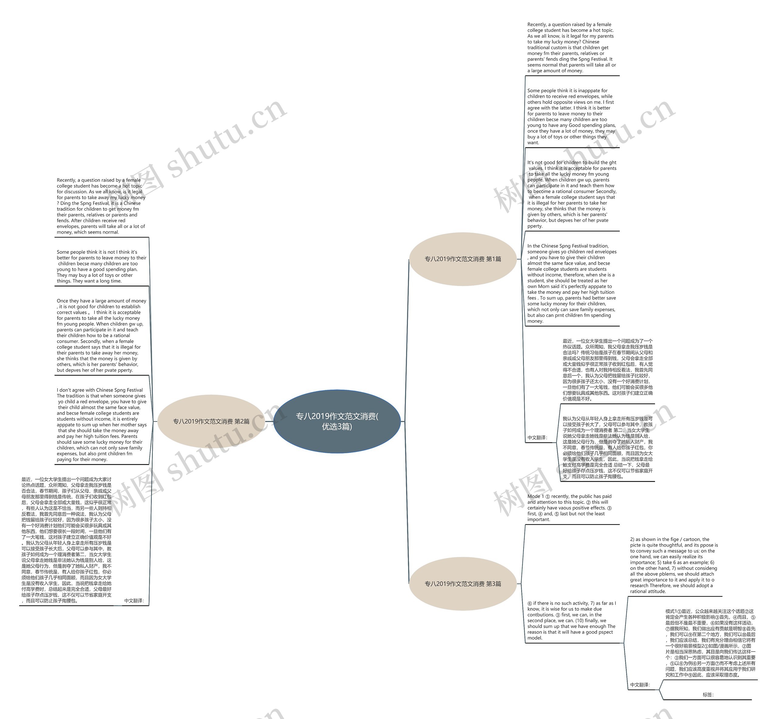 专八2019作文范文消费(优选3篇)思维导图