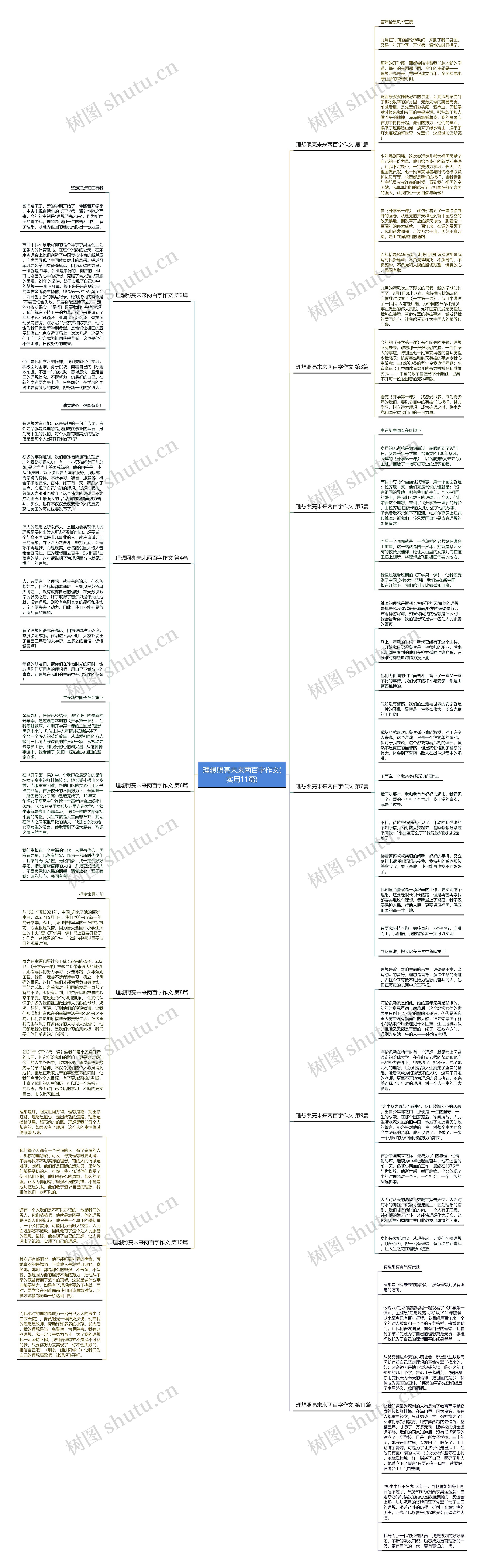 理想照亮未来两百字作文(实用11篇)思维导图