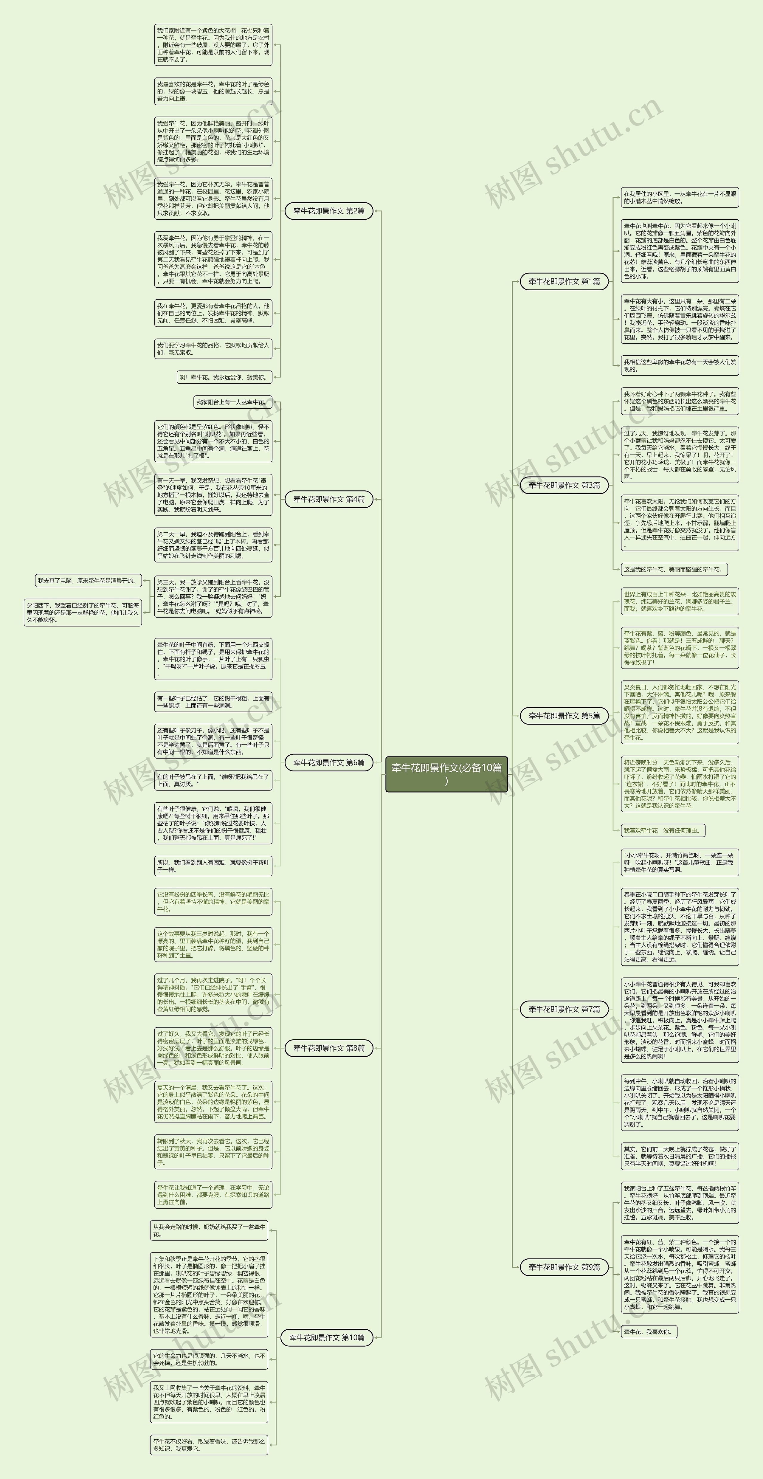 牵牛花即景作文(必备10篇)思维导图