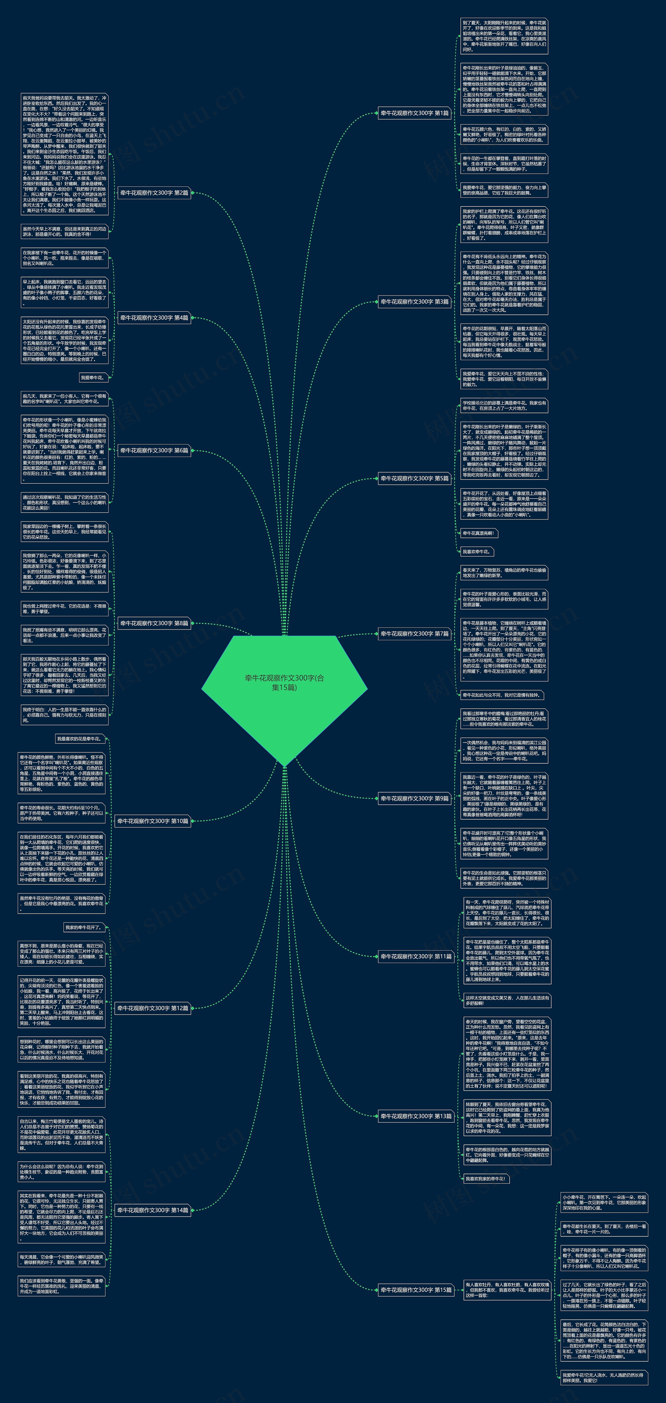 牵牛花观察作文300字(合集15篇)思维导图