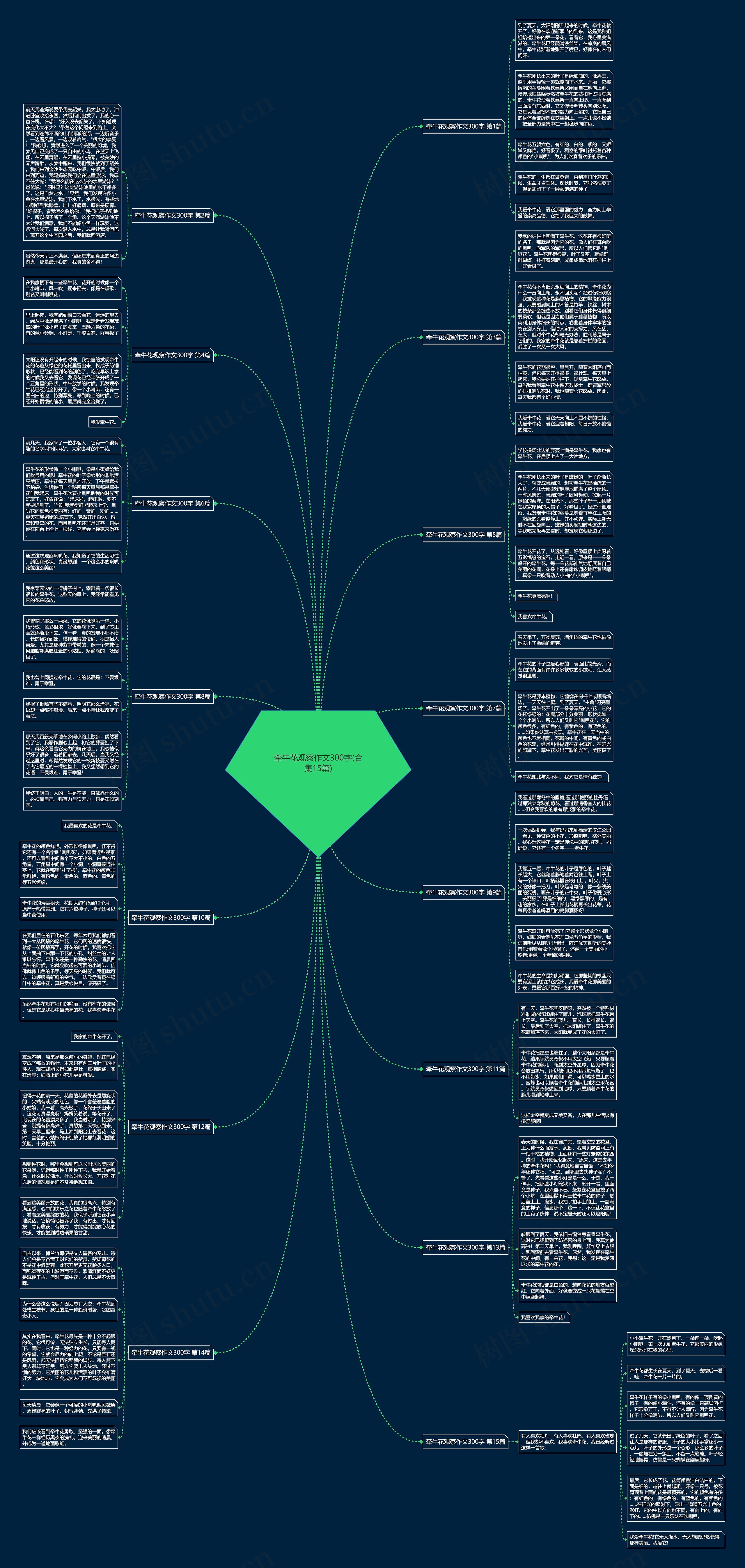 牵牛花观察作文300字(合集15篇) 牵牛花观察作文300字(合集15篇)